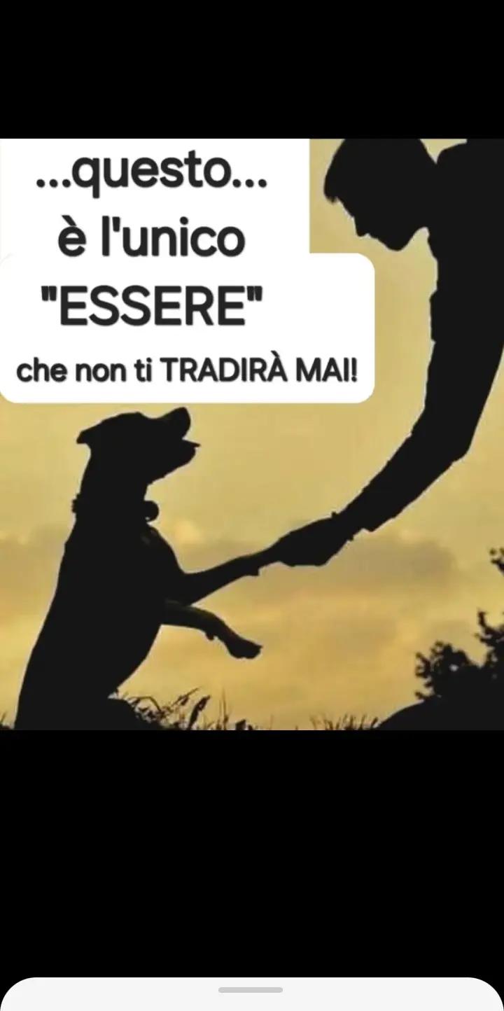 @Claudio Bello925