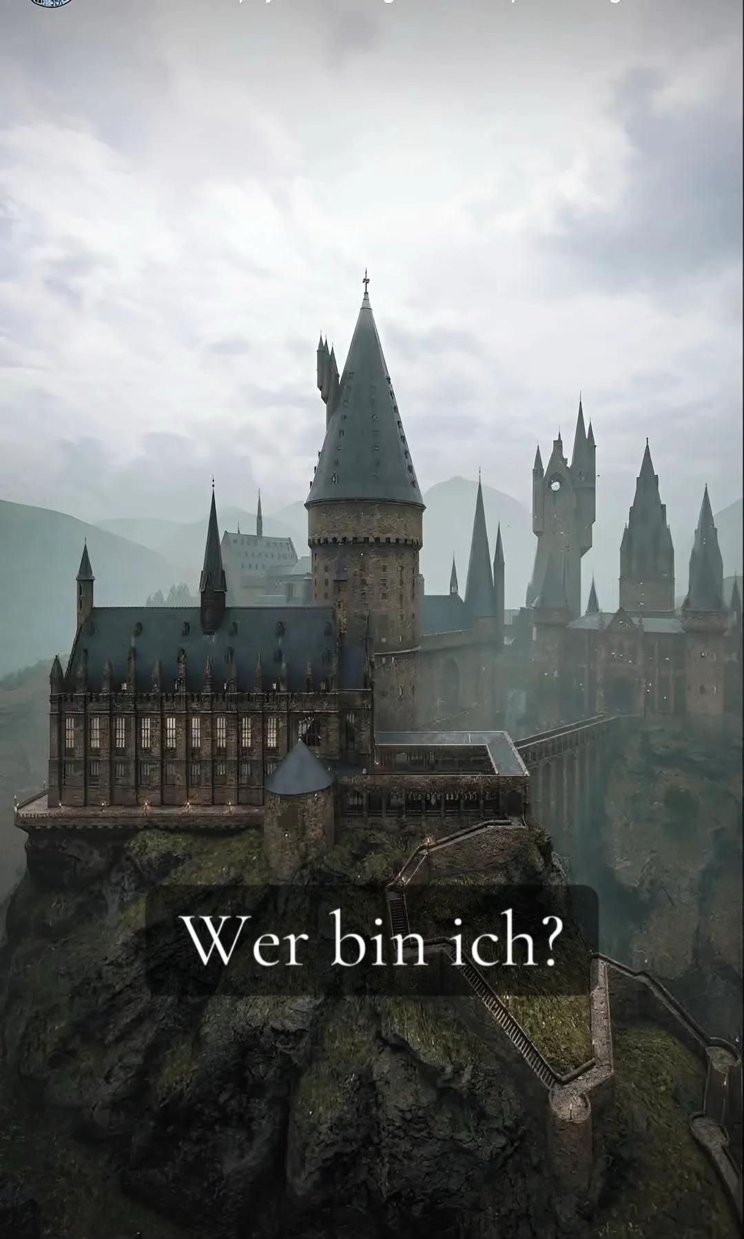 @Muggelgefl&uuml;ster