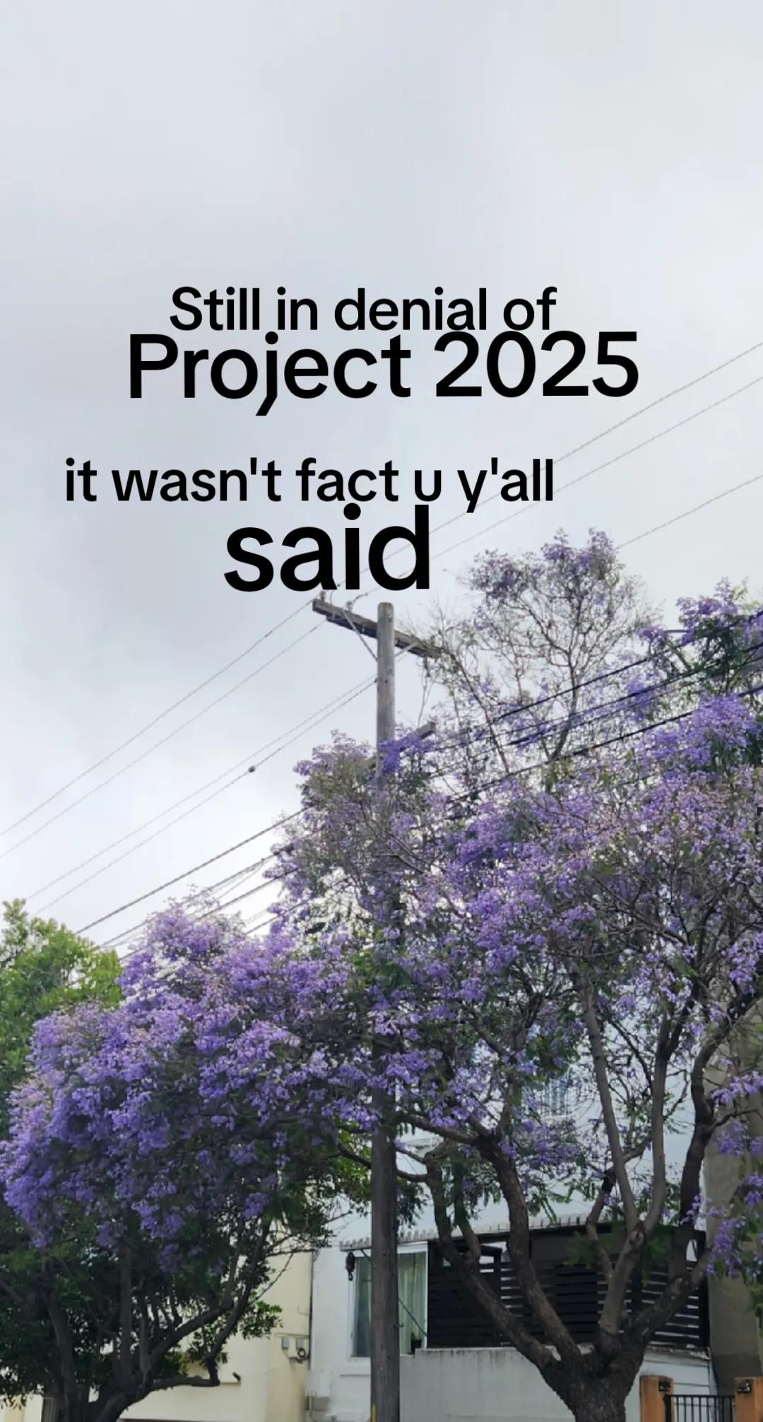 @mo mo