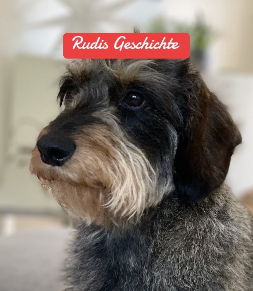 @Ichsch&uuml;tzekinderundtiere