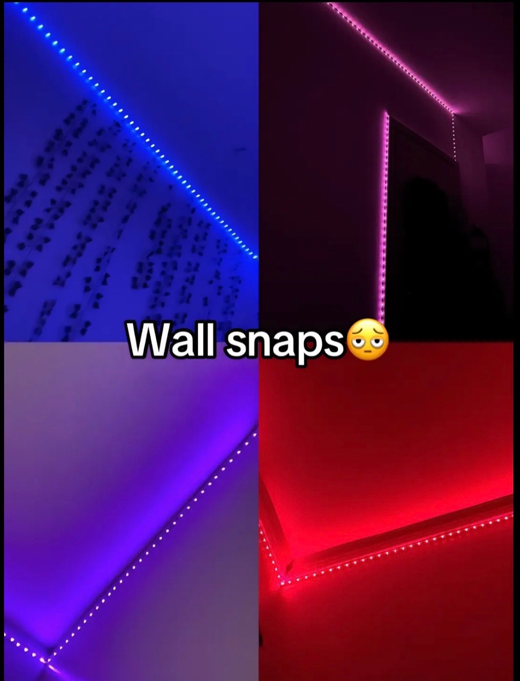 @NenePlanet ☣️