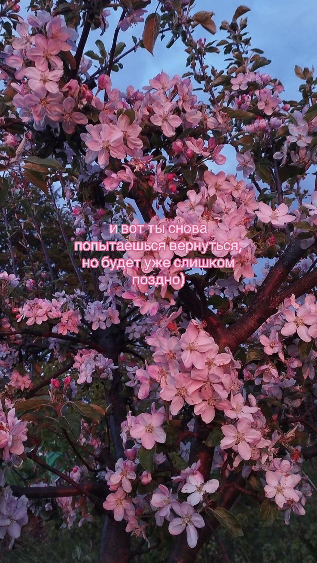 @🖤🖤🖤