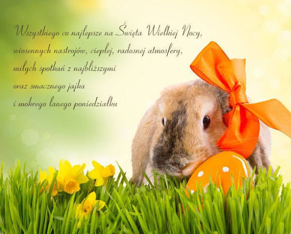 @mateusz_harapiuk