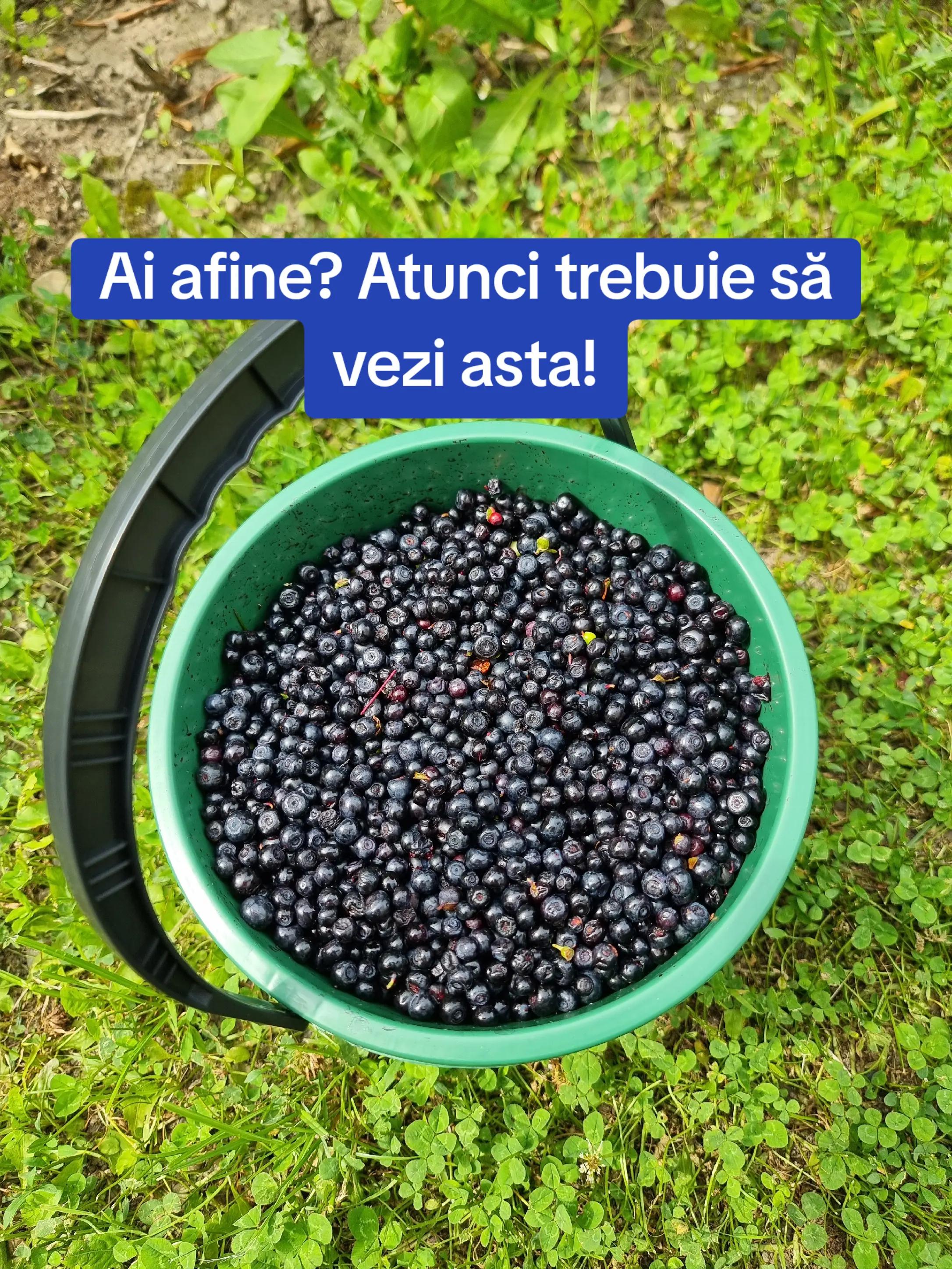 @🍎Din natură & Din tradiție