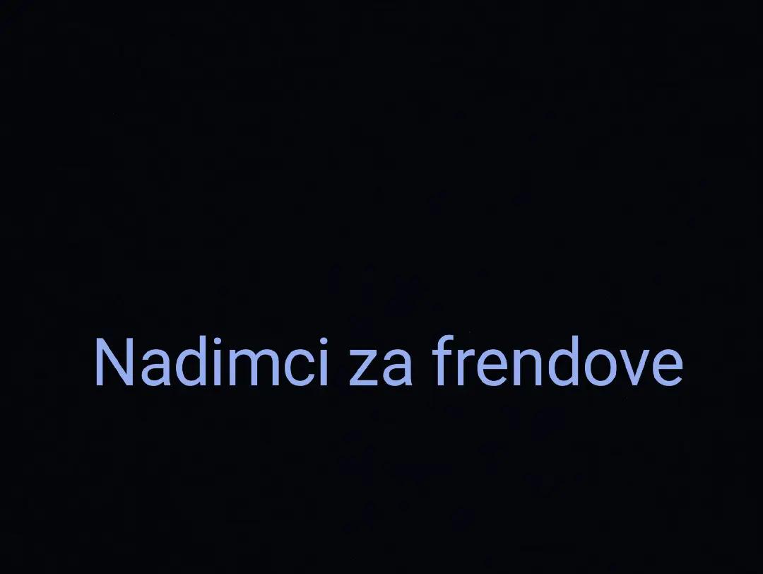 @nisveta.kudic.