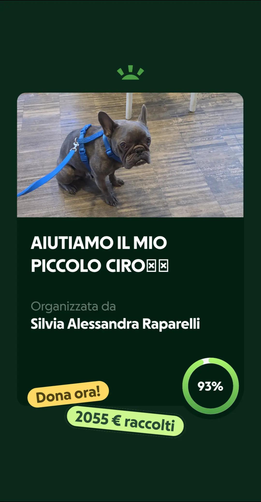 @⭐️SilviaStarGossip ⭐️