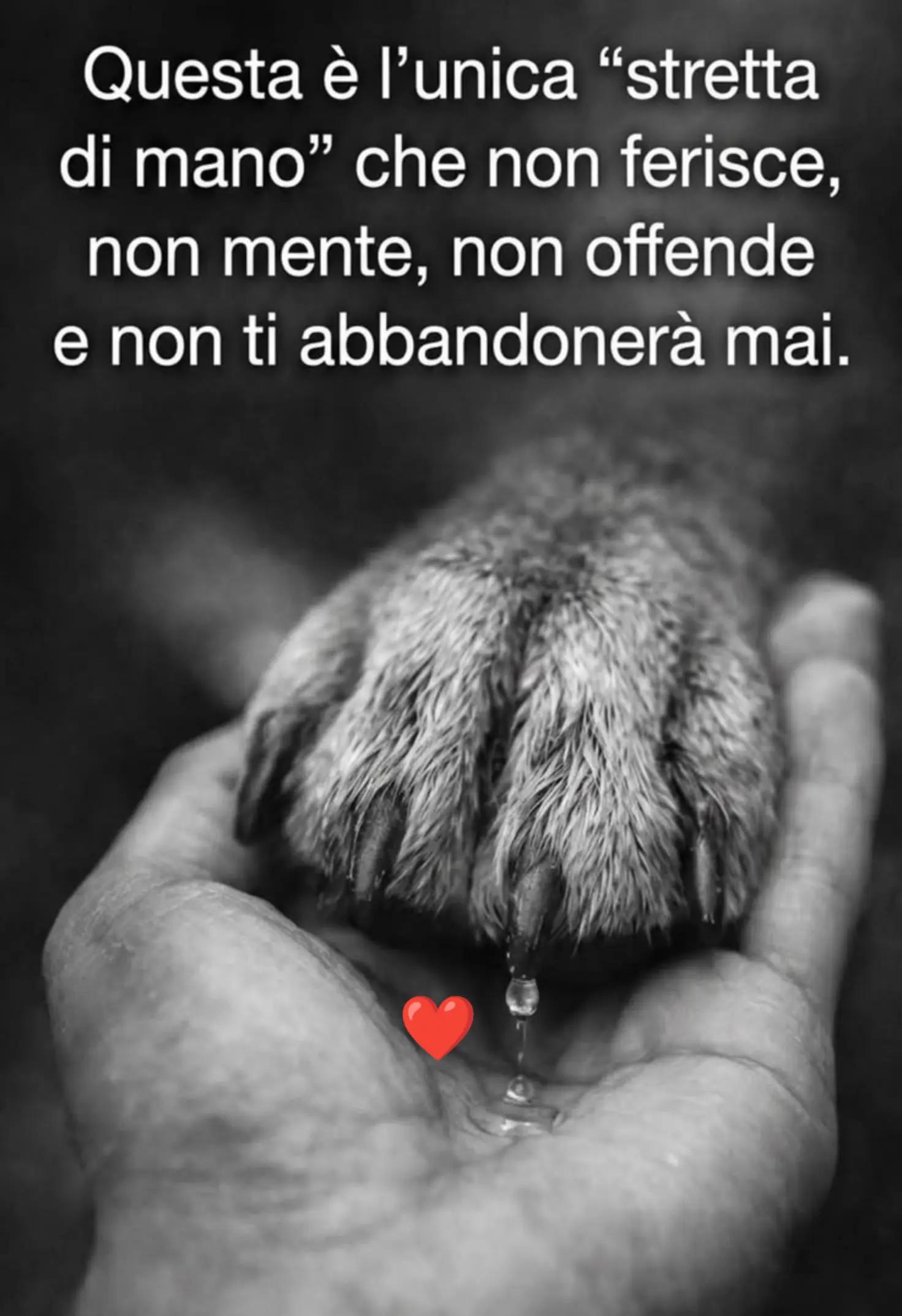 @Vincenzo partesano
