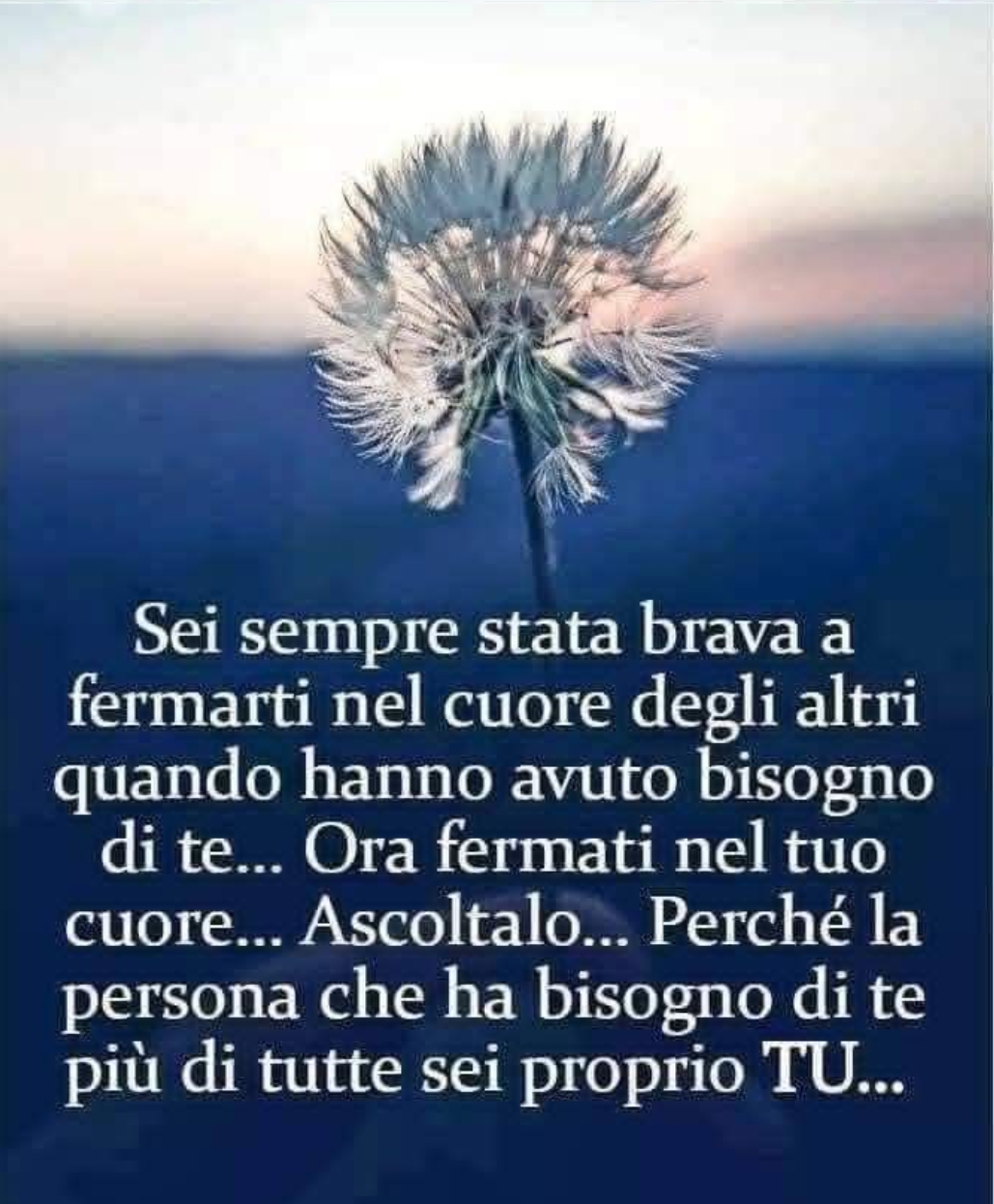 @lucia