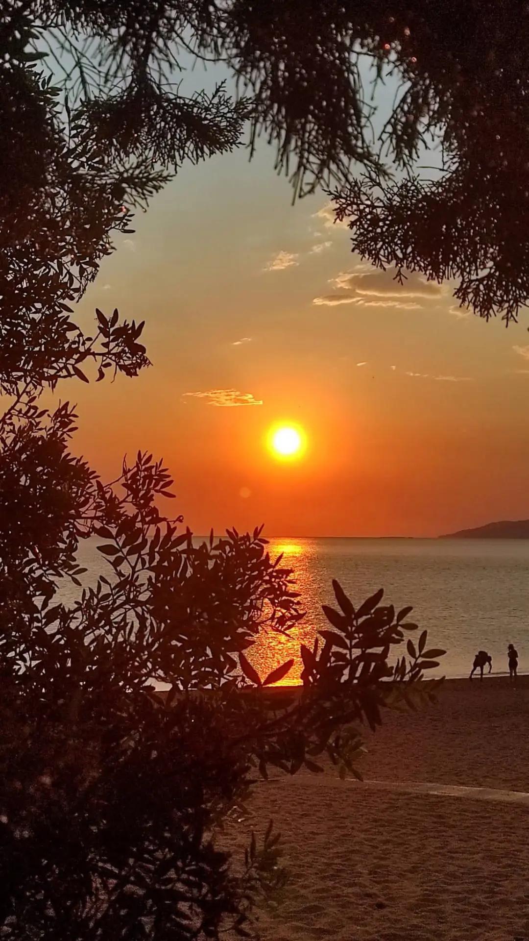 @Paola Di Caprio