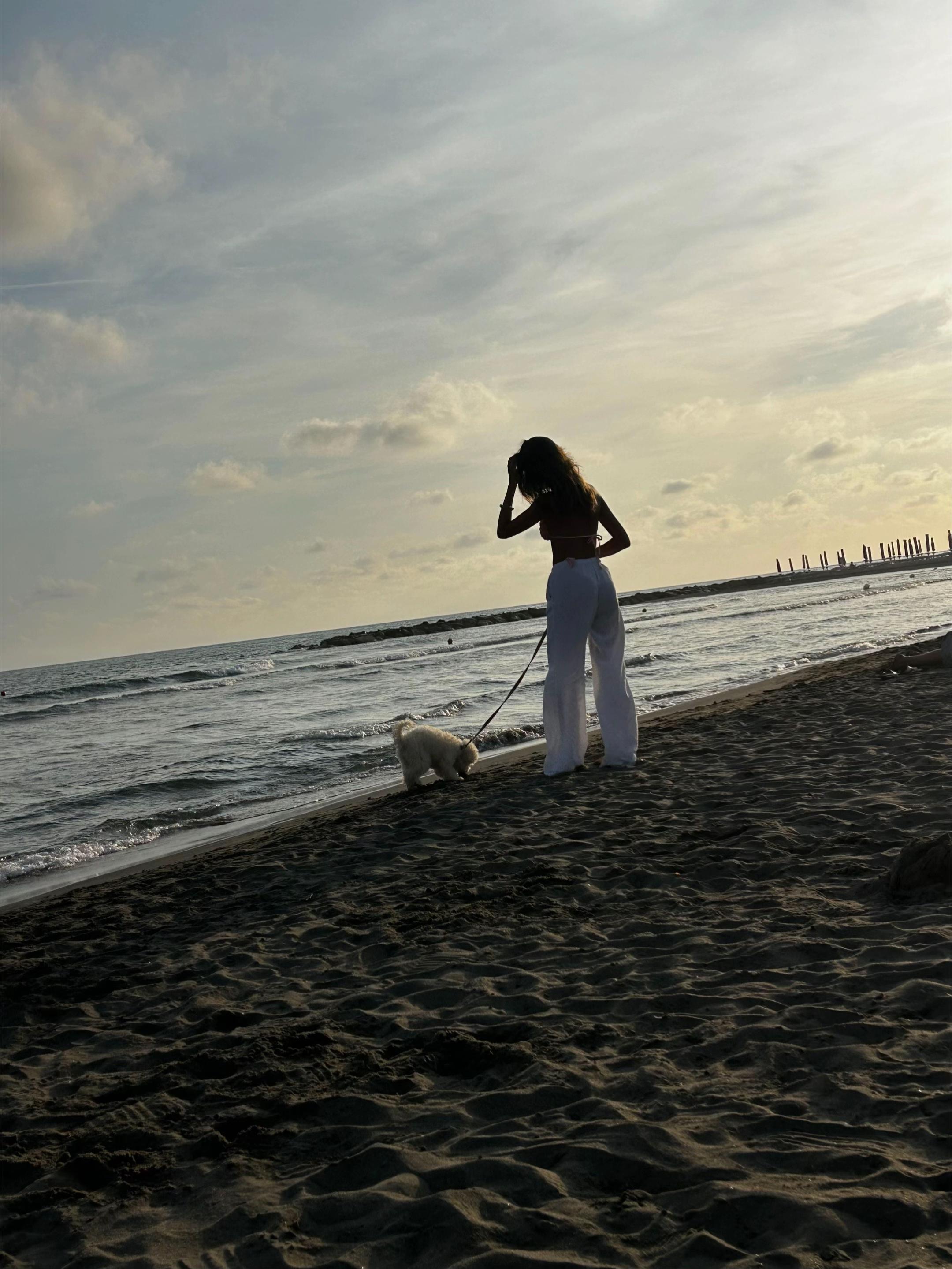 @Ginevra Fabrizi