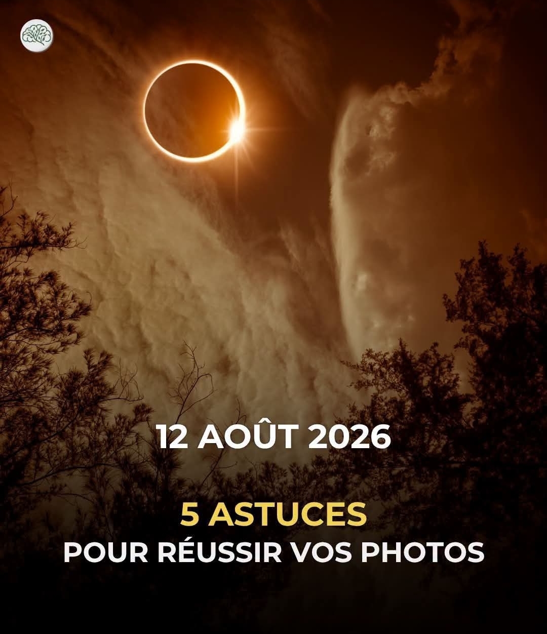 @đ1pied2vantlautređ