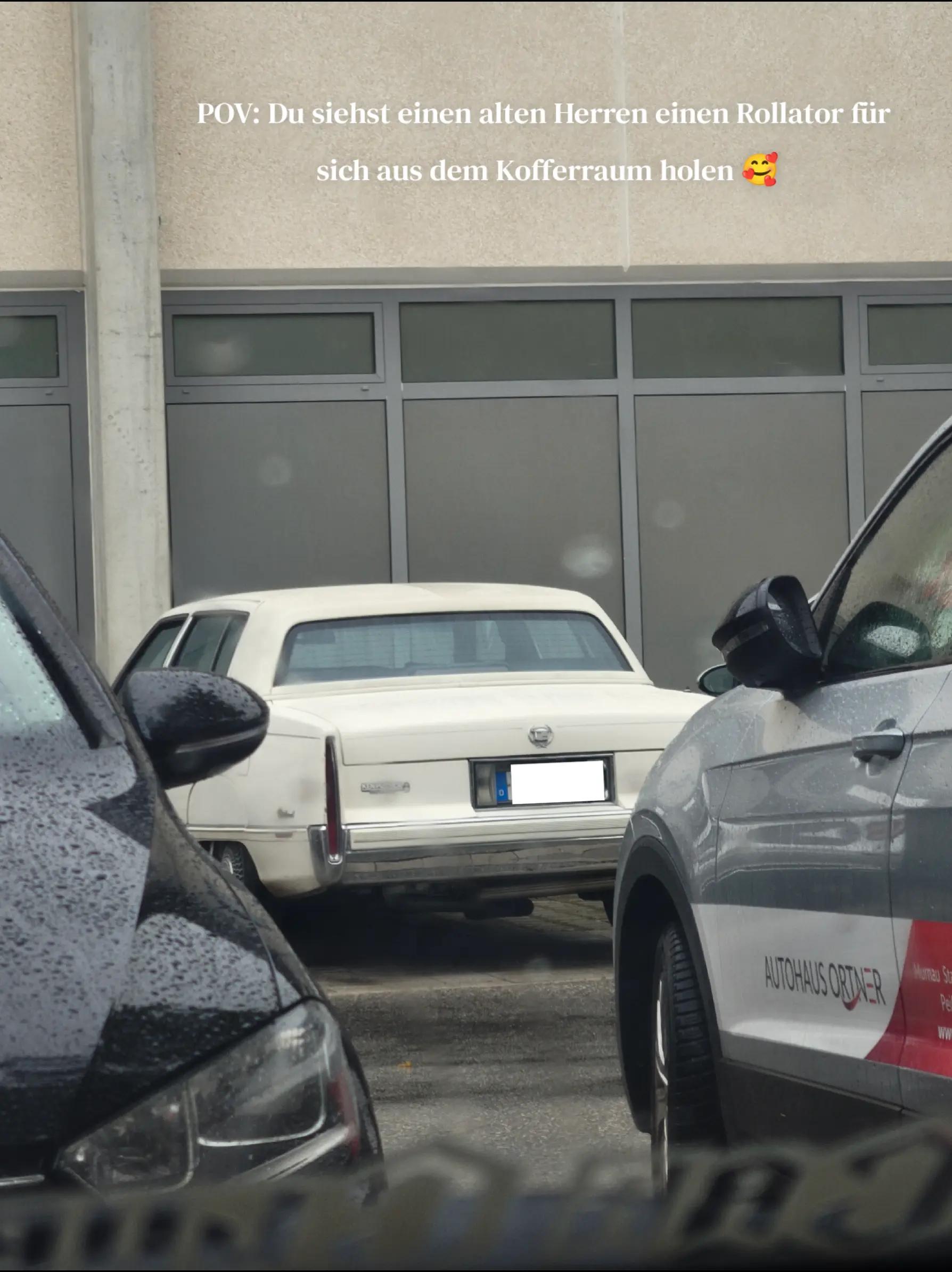 @_audifan_