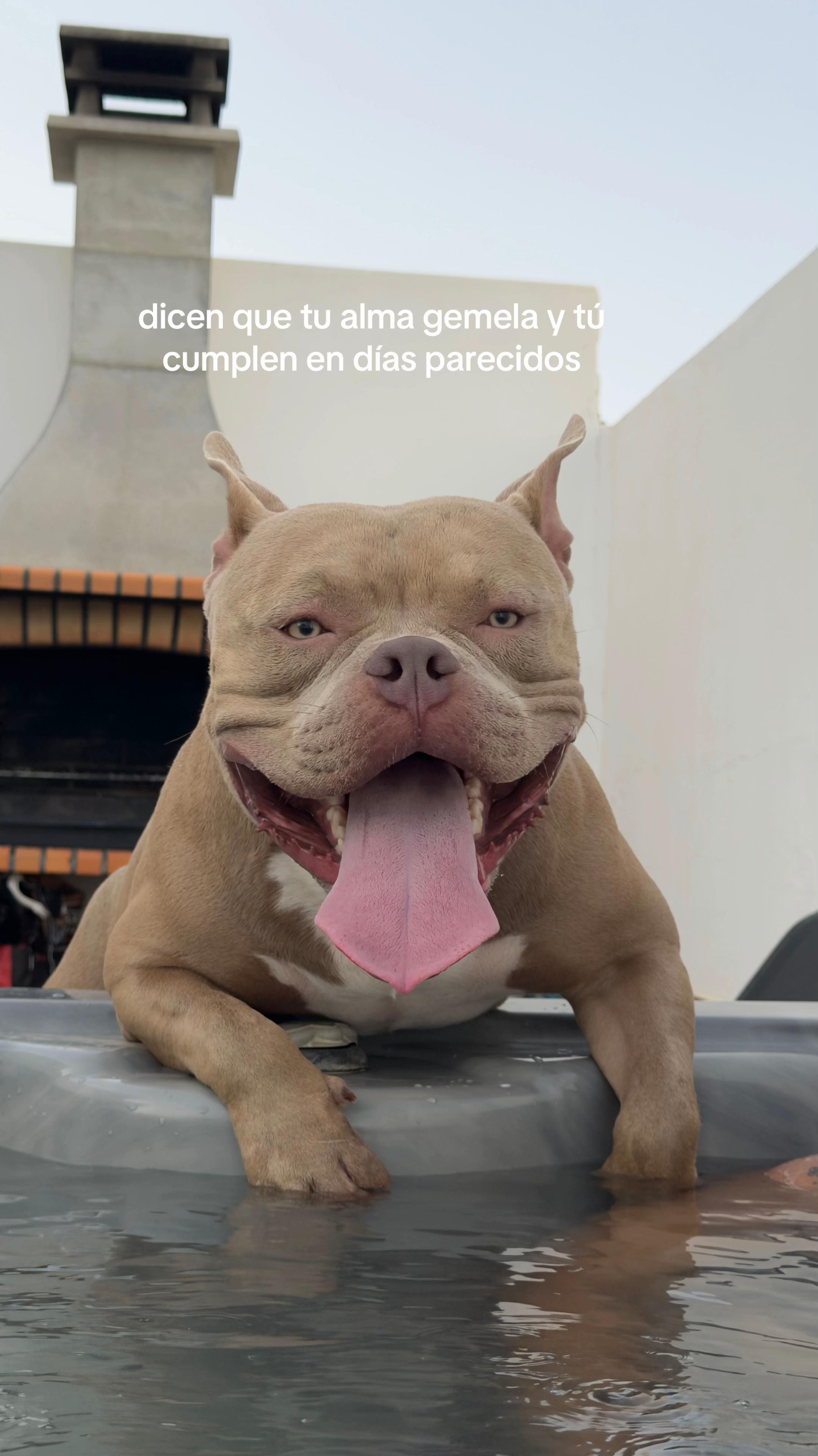 @la.traviesoo
