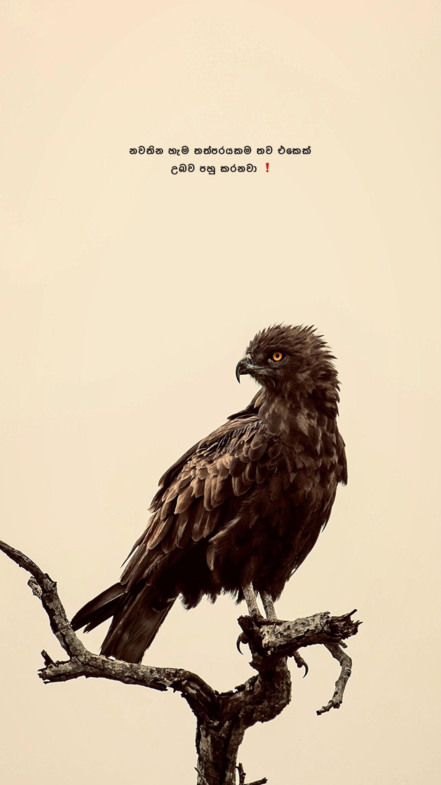 @Diary of Ravindu ๐๐๐จ"