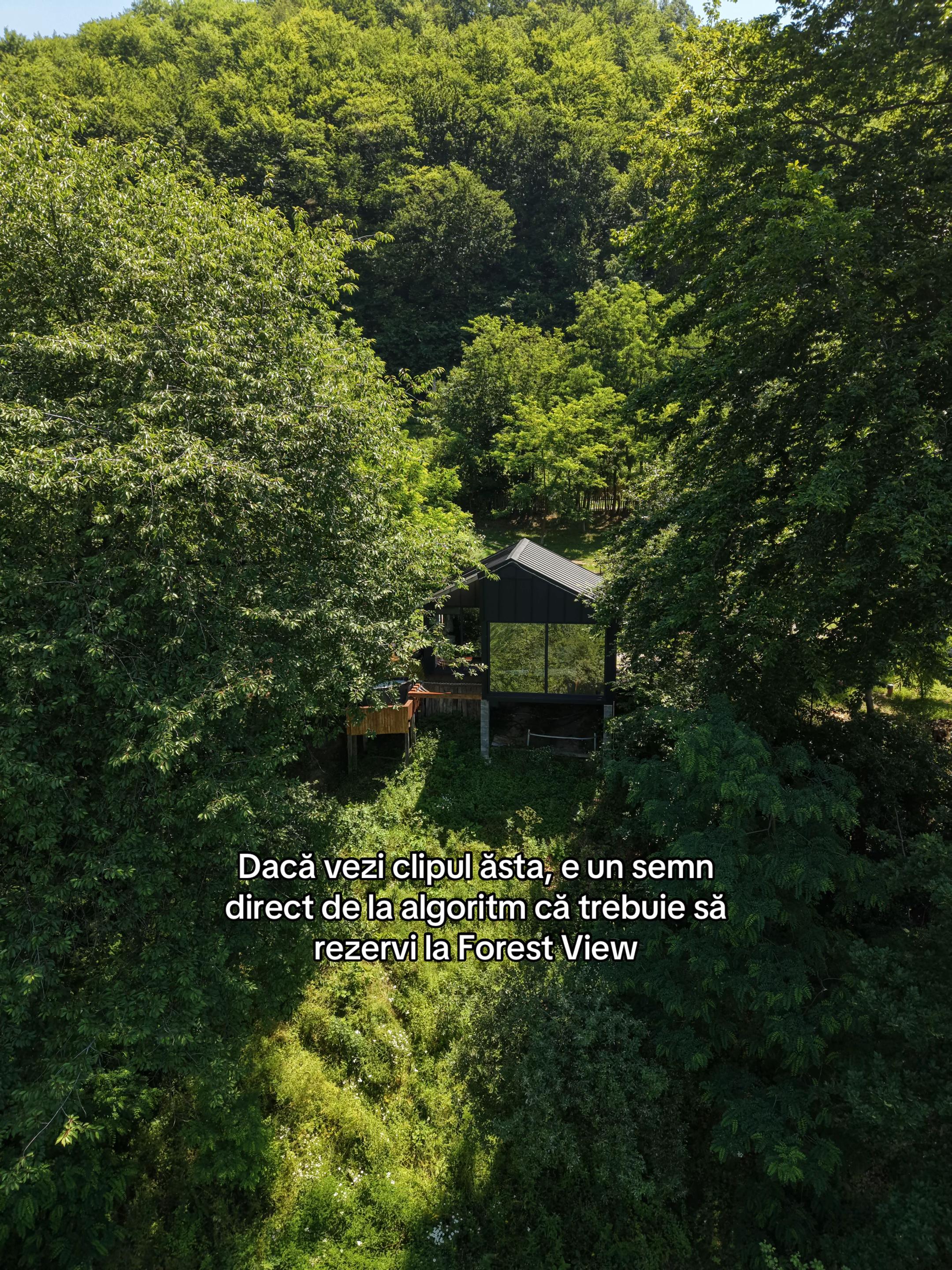 @Forest View Valcea