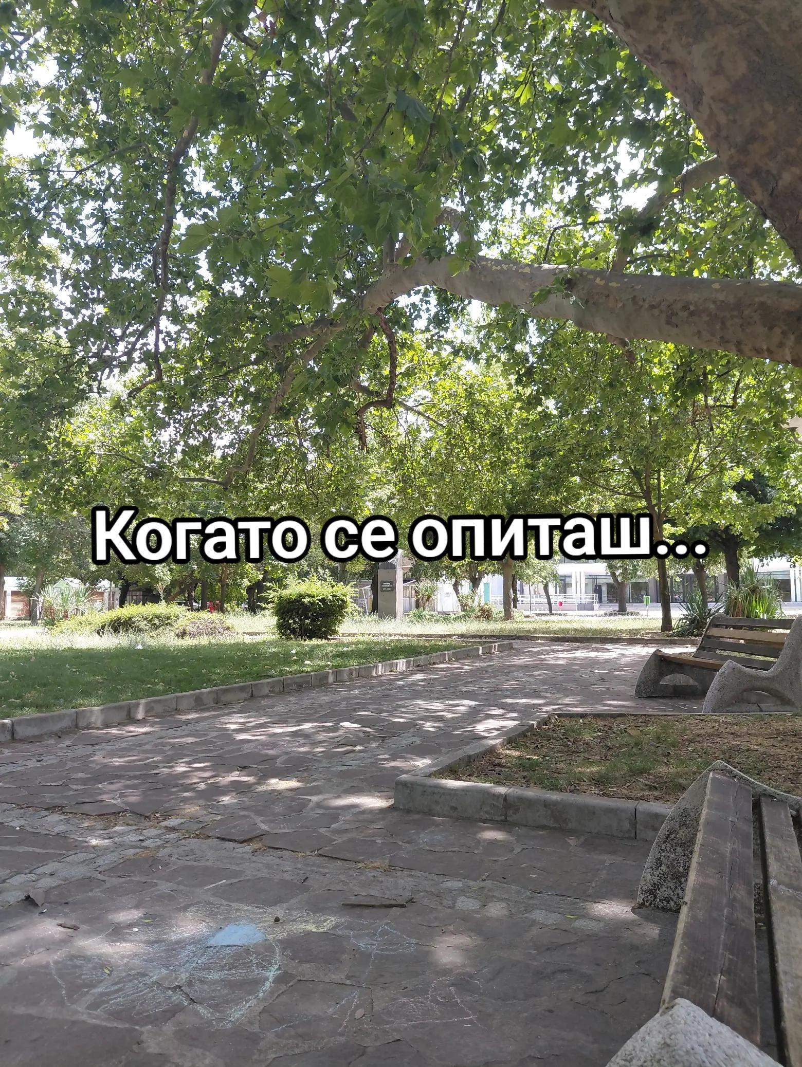@💥Georgiev_07💥