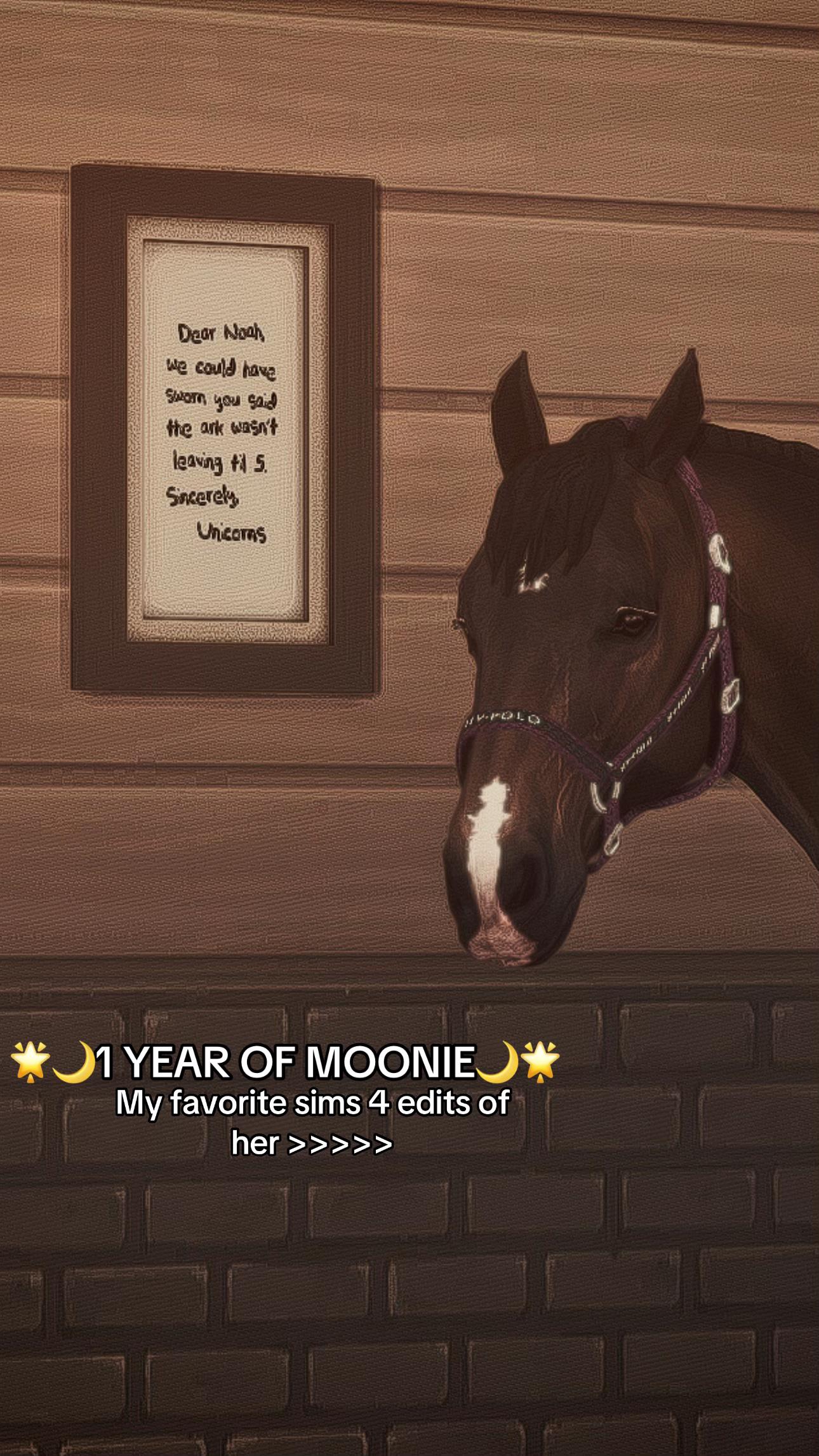 @mainorhillsstud