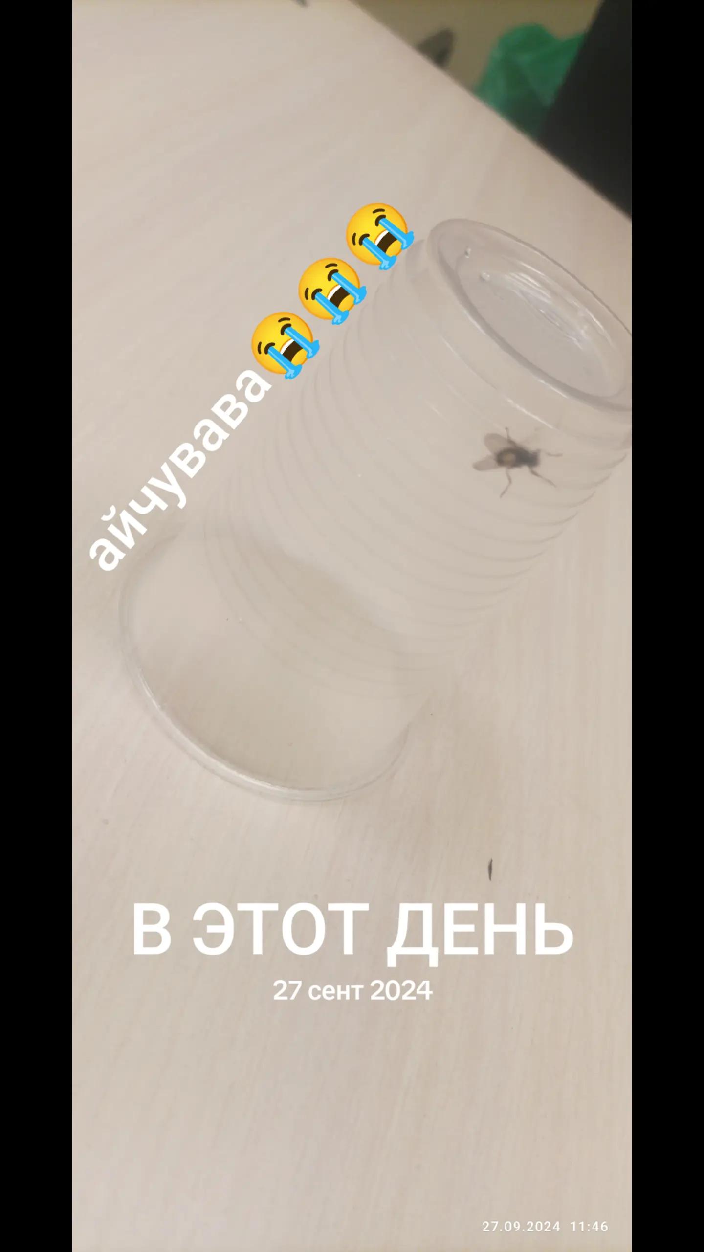 @я впадаю в кому 2💊🥀@