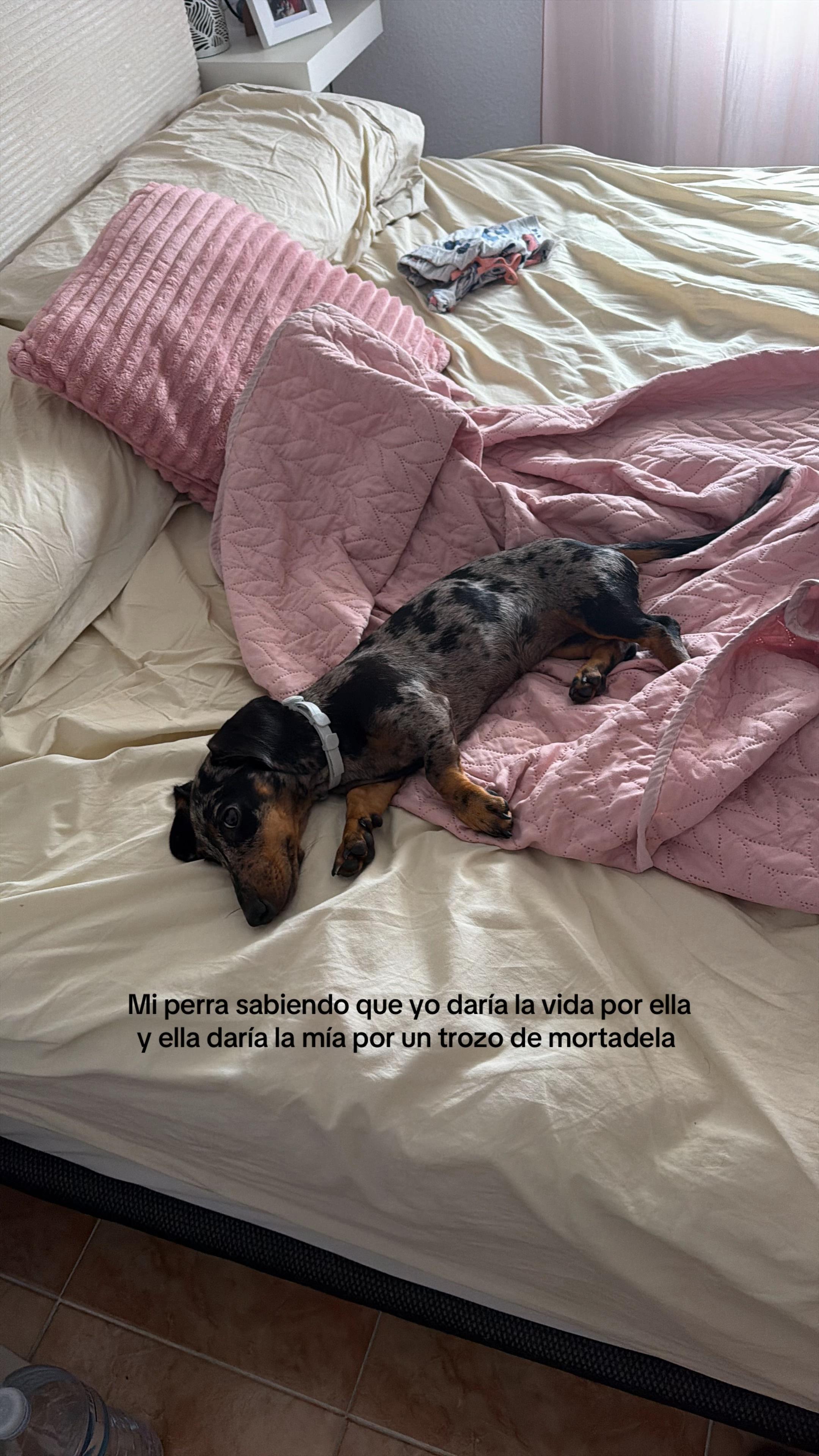 @maraespinosa_