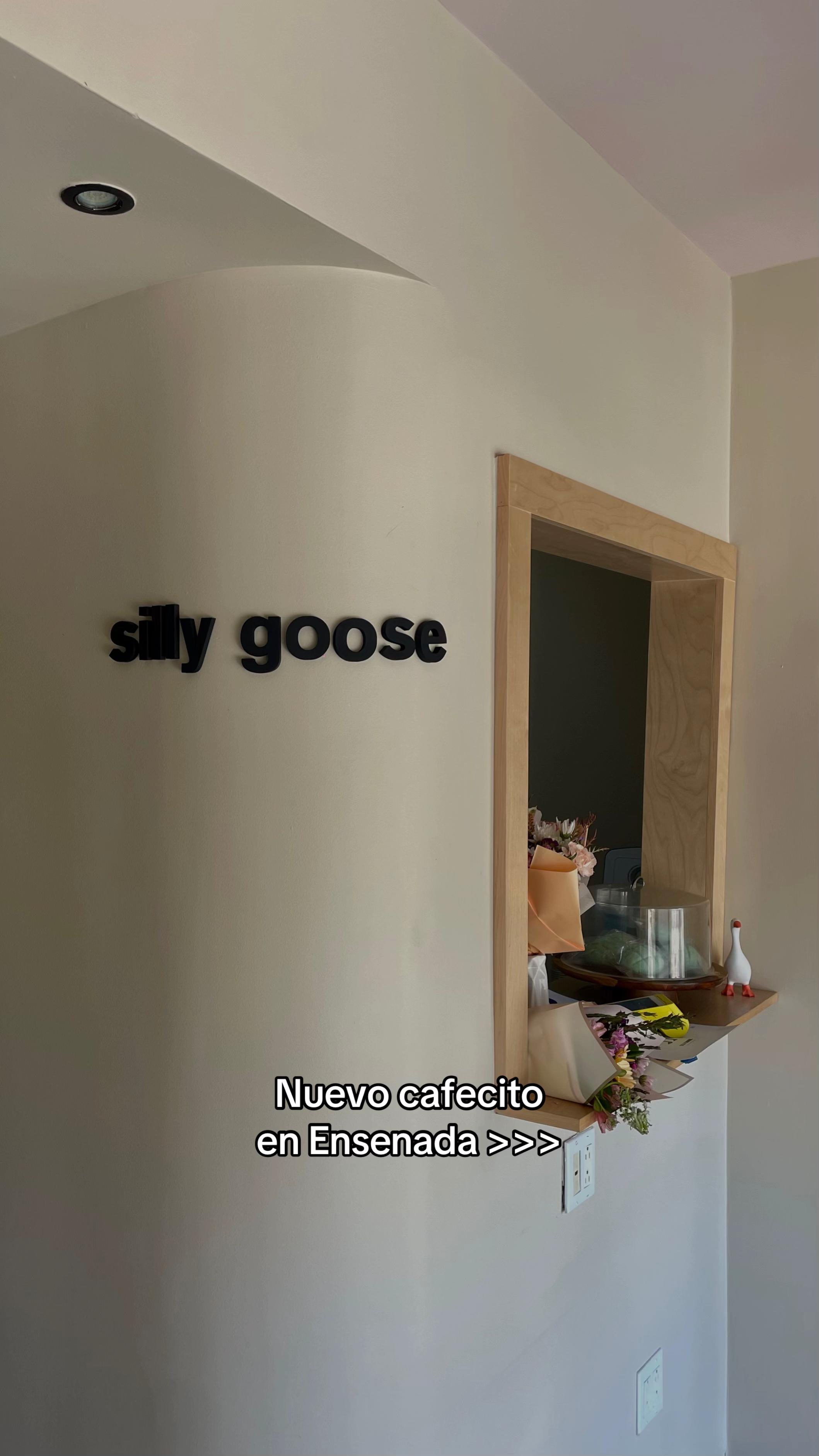 @Marco Alvarado