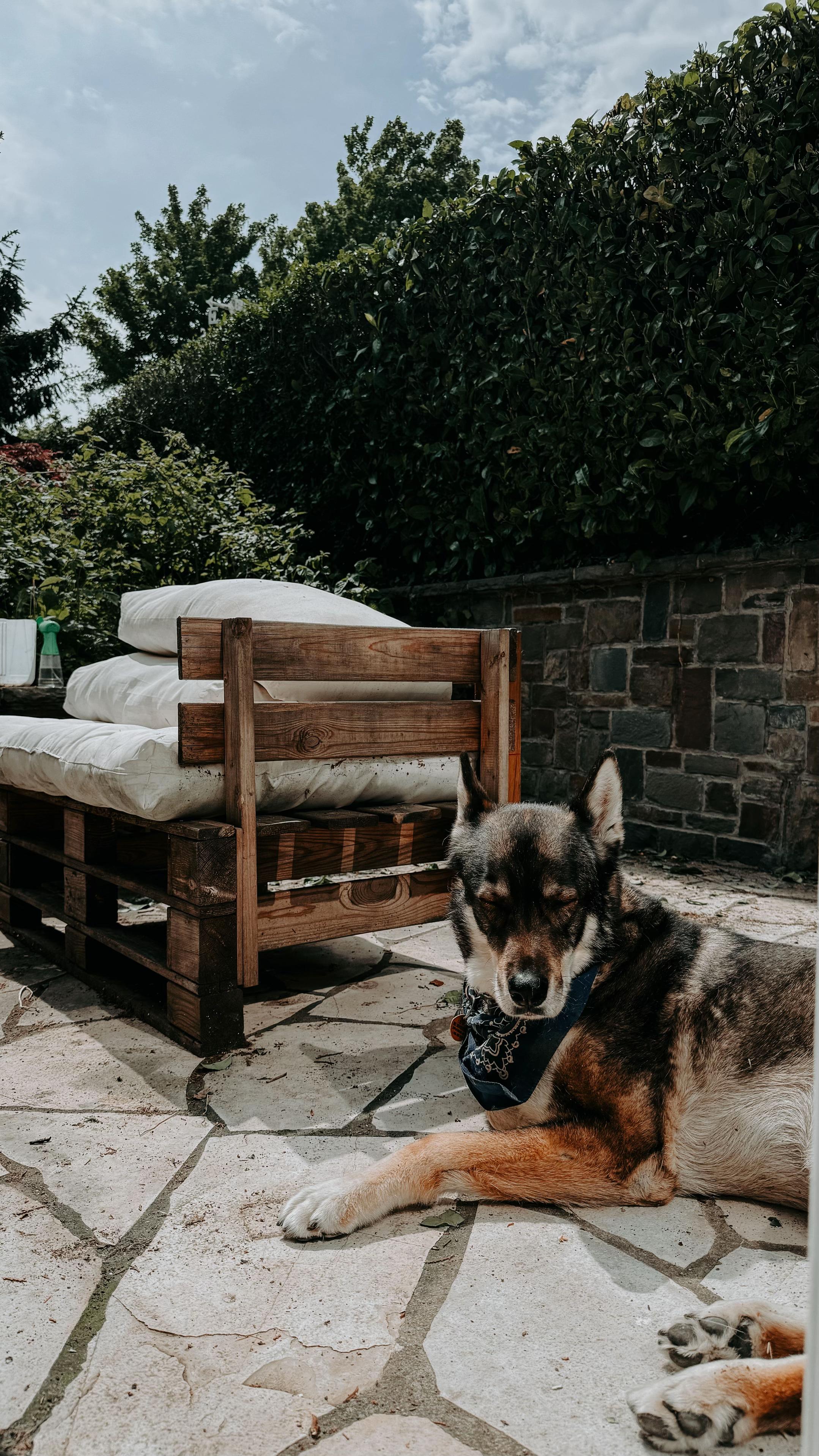 @Sasha🐺