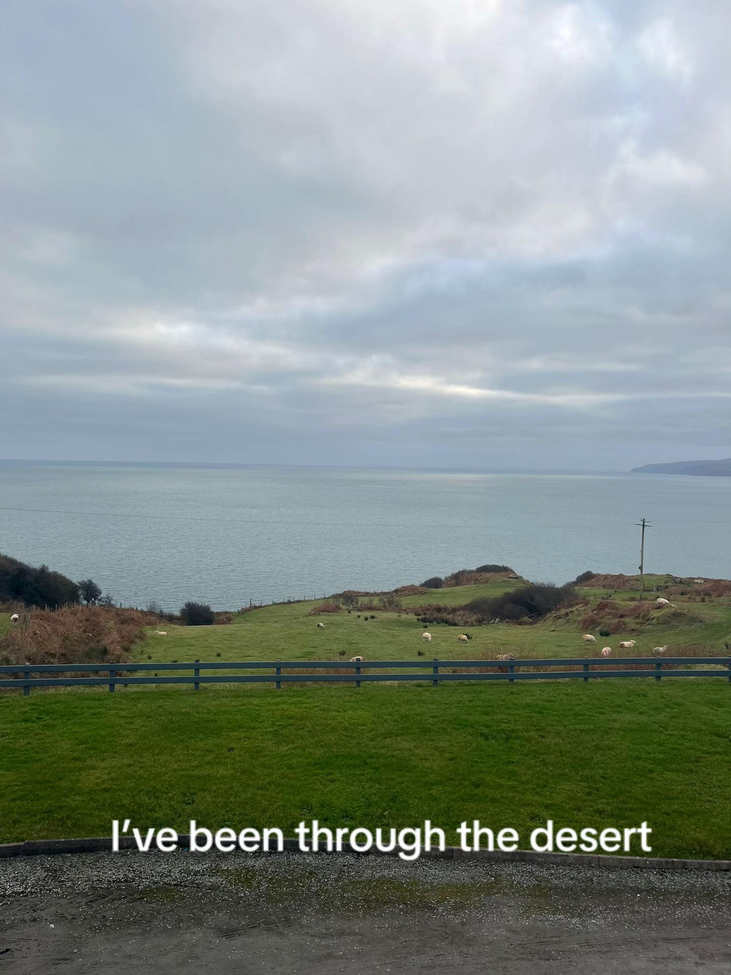 @Oran McColgan