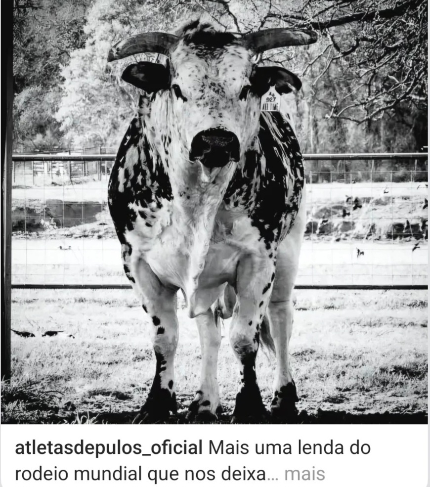 @cowboy 21🤘🏽⚙️🇧🇷🌾🇺🇸