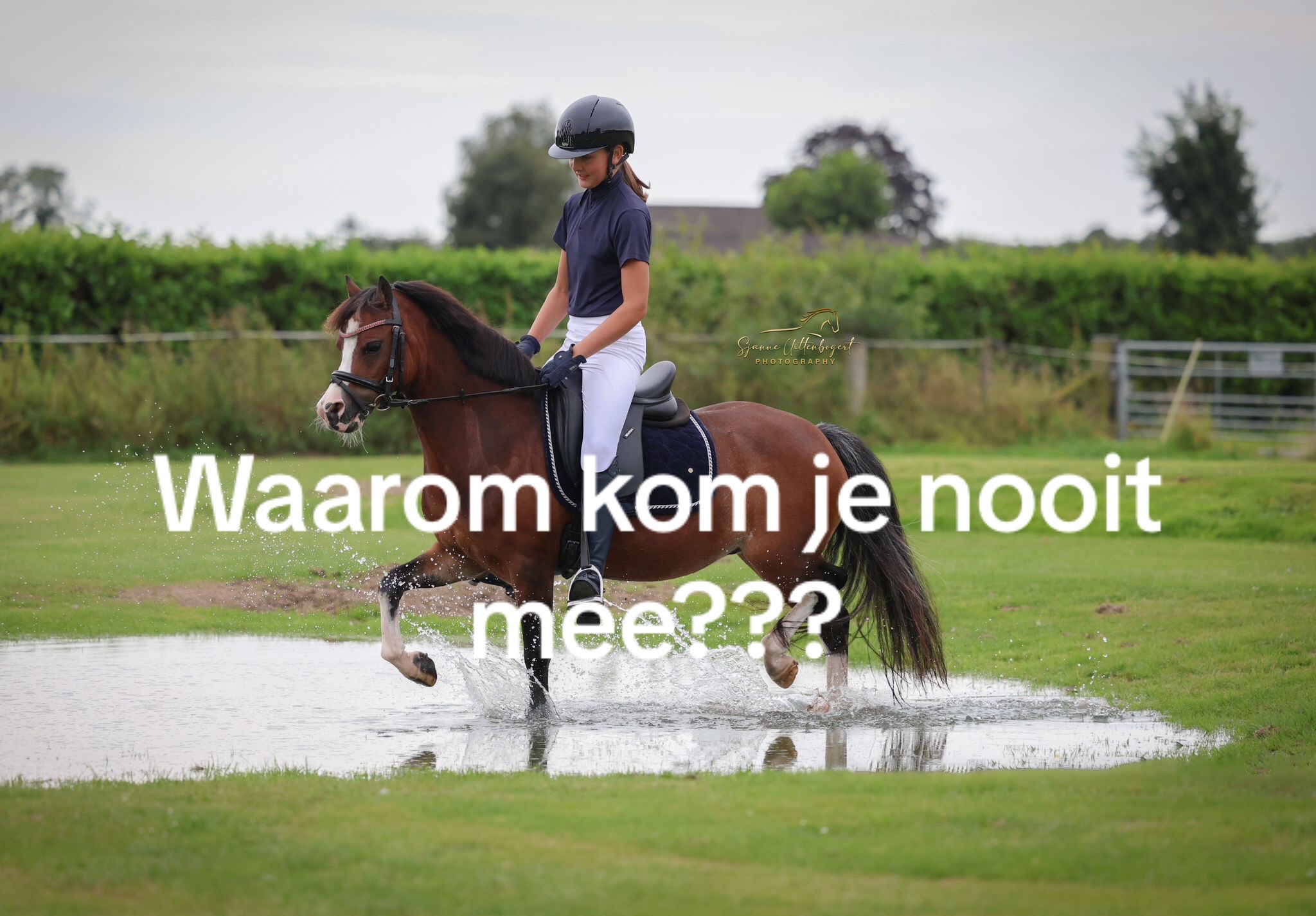 @🇳🇱Anouk Emaus🇳🇱