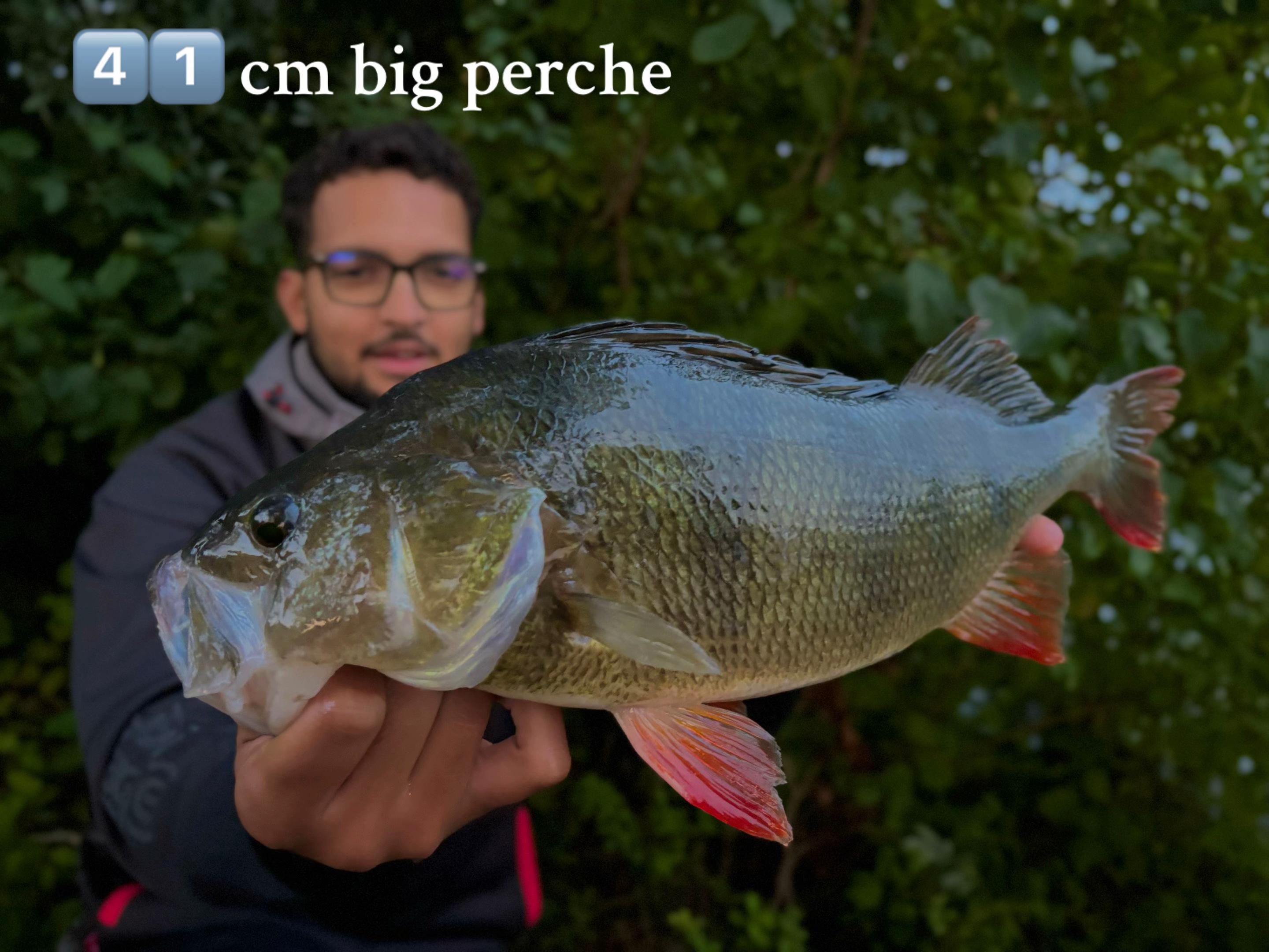 @bgz_fishing