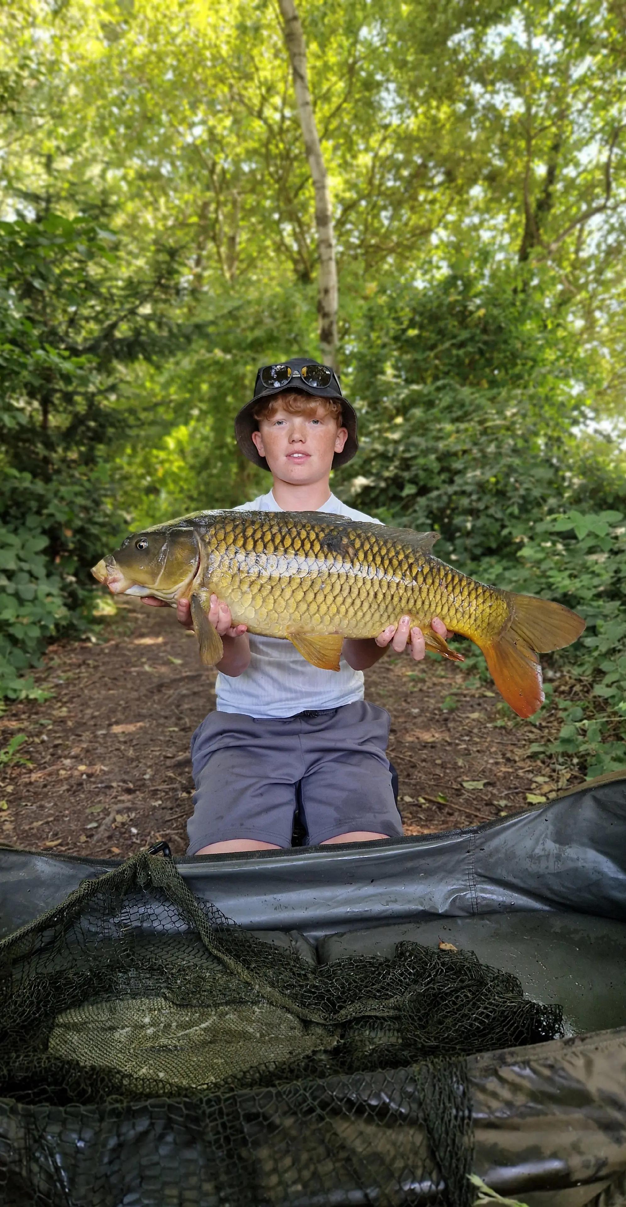 @Carpy Brez