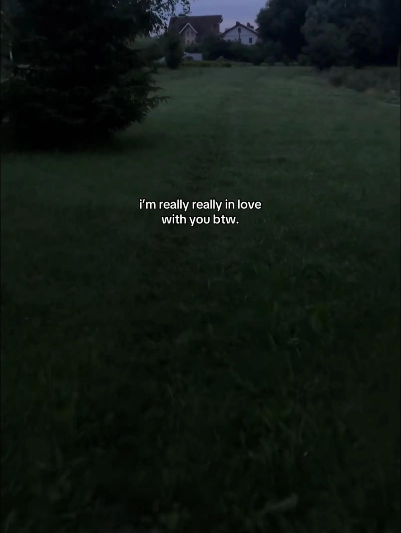 @Feelings of love by King