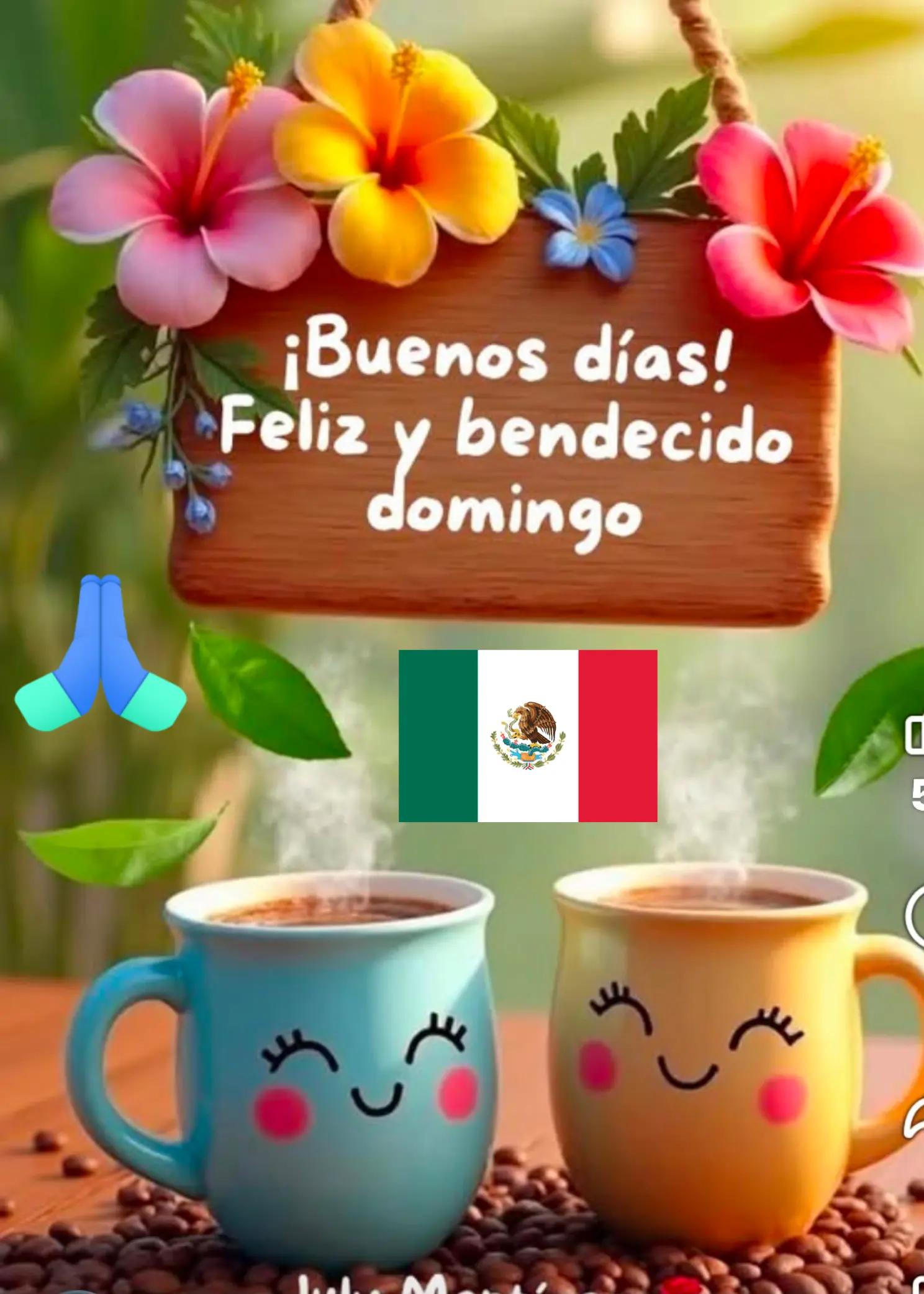 @Estela Pruneda372
