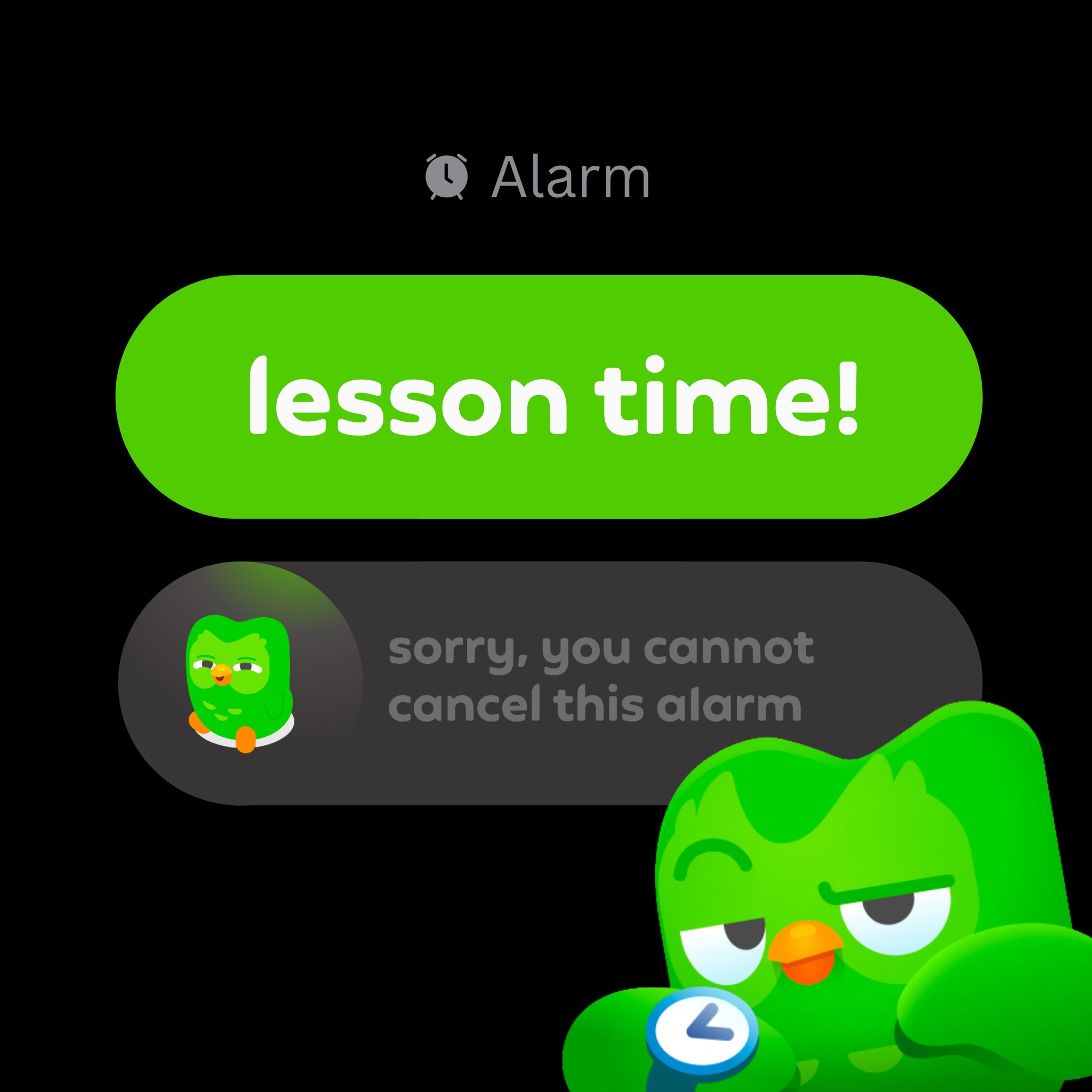 @Duolingo