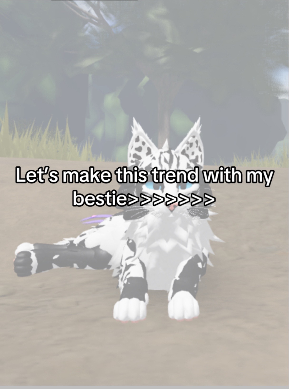 @Cute cat Girl