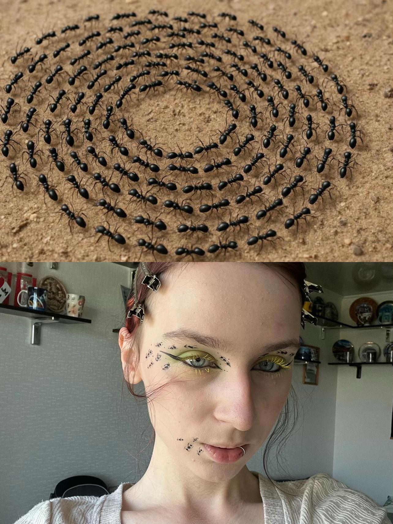 @arleKINN