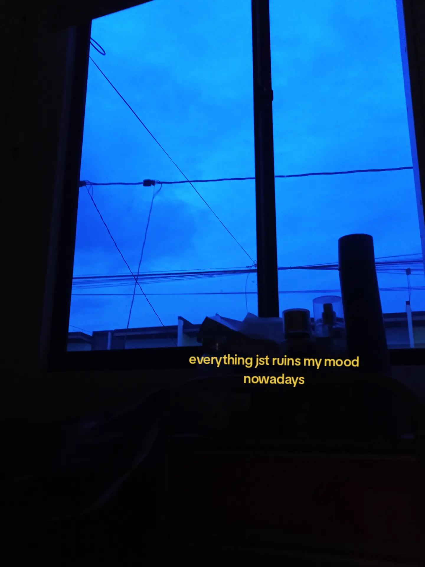 @˃ 𖥦 ˂ . ᒍ. ᴢ𝕖𝚕𝐥ꫀׁׅܻ݊  ٭ 💤