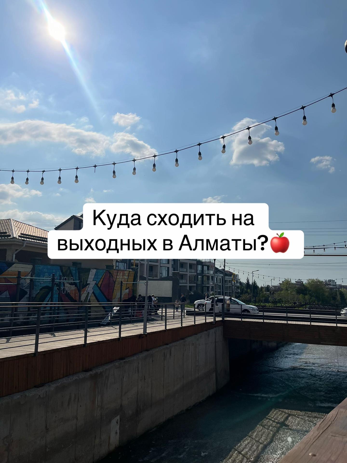 @demalu.diary