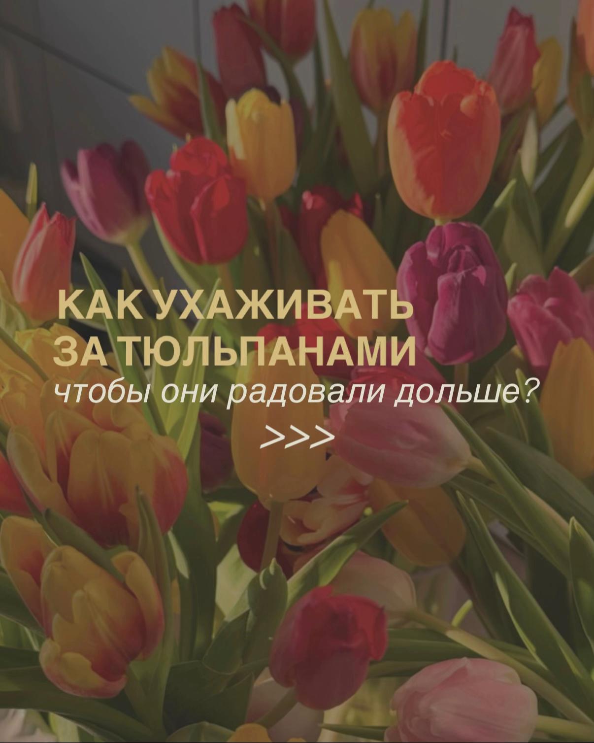 @Кристина, без ОКР!