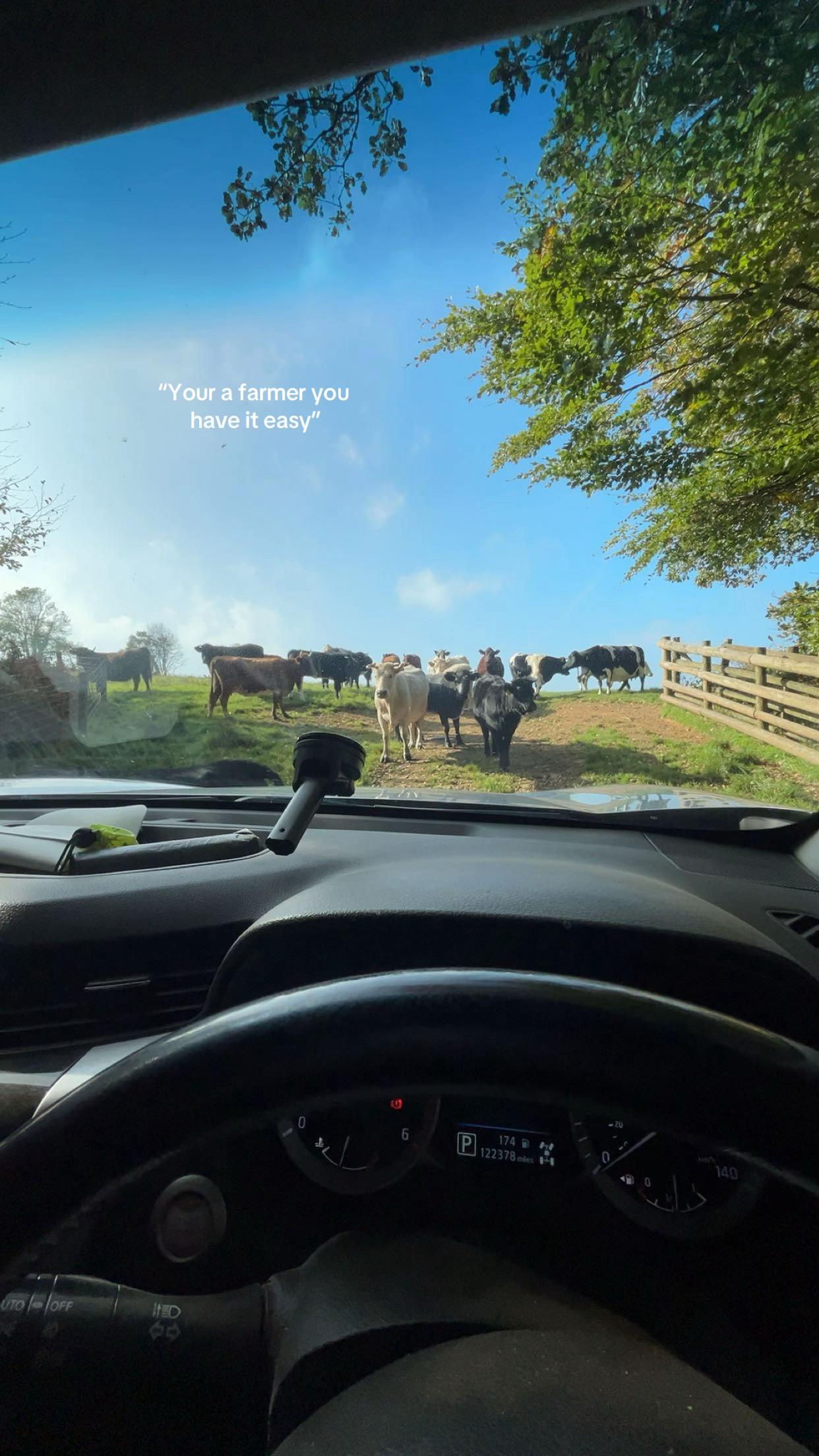 @mais 🐮