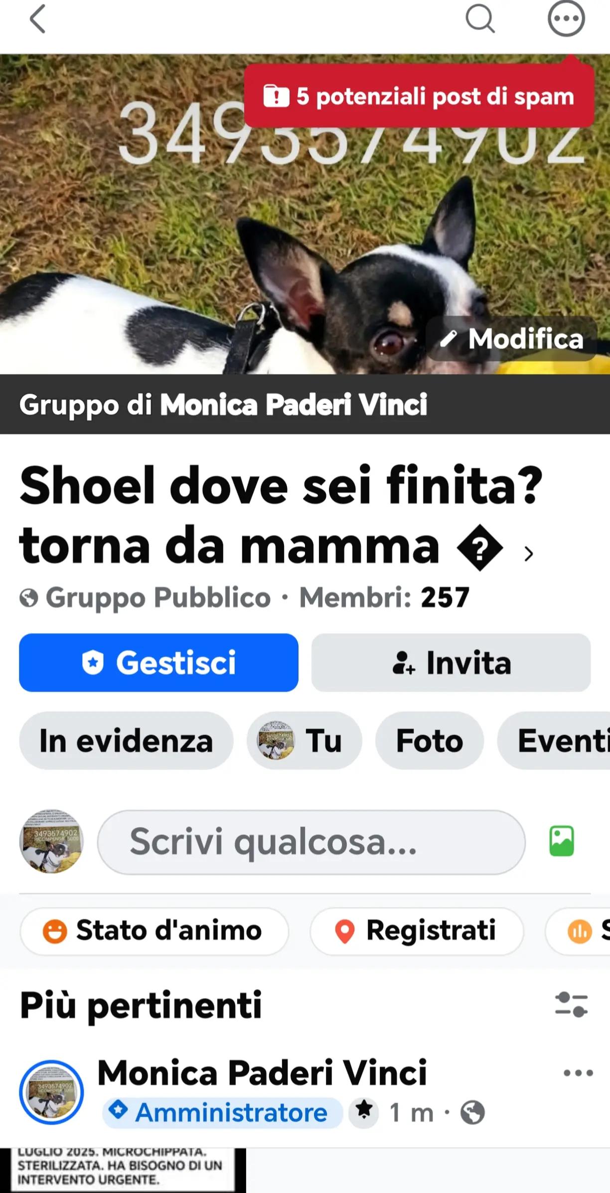 @GLI Sgomberi DI Monica paderi