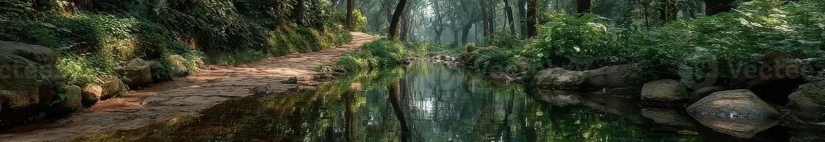 @Rishad Noor 🌿 رشاد نور