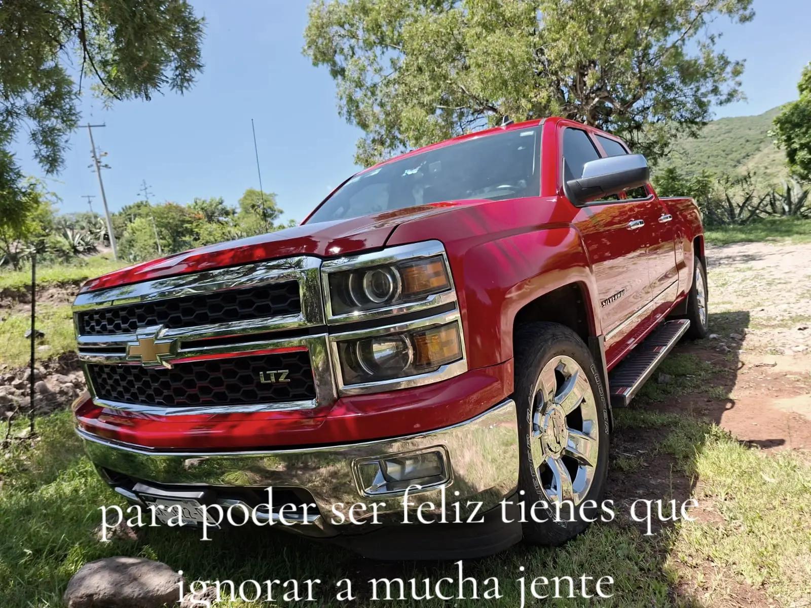 @Gustavo Frias501