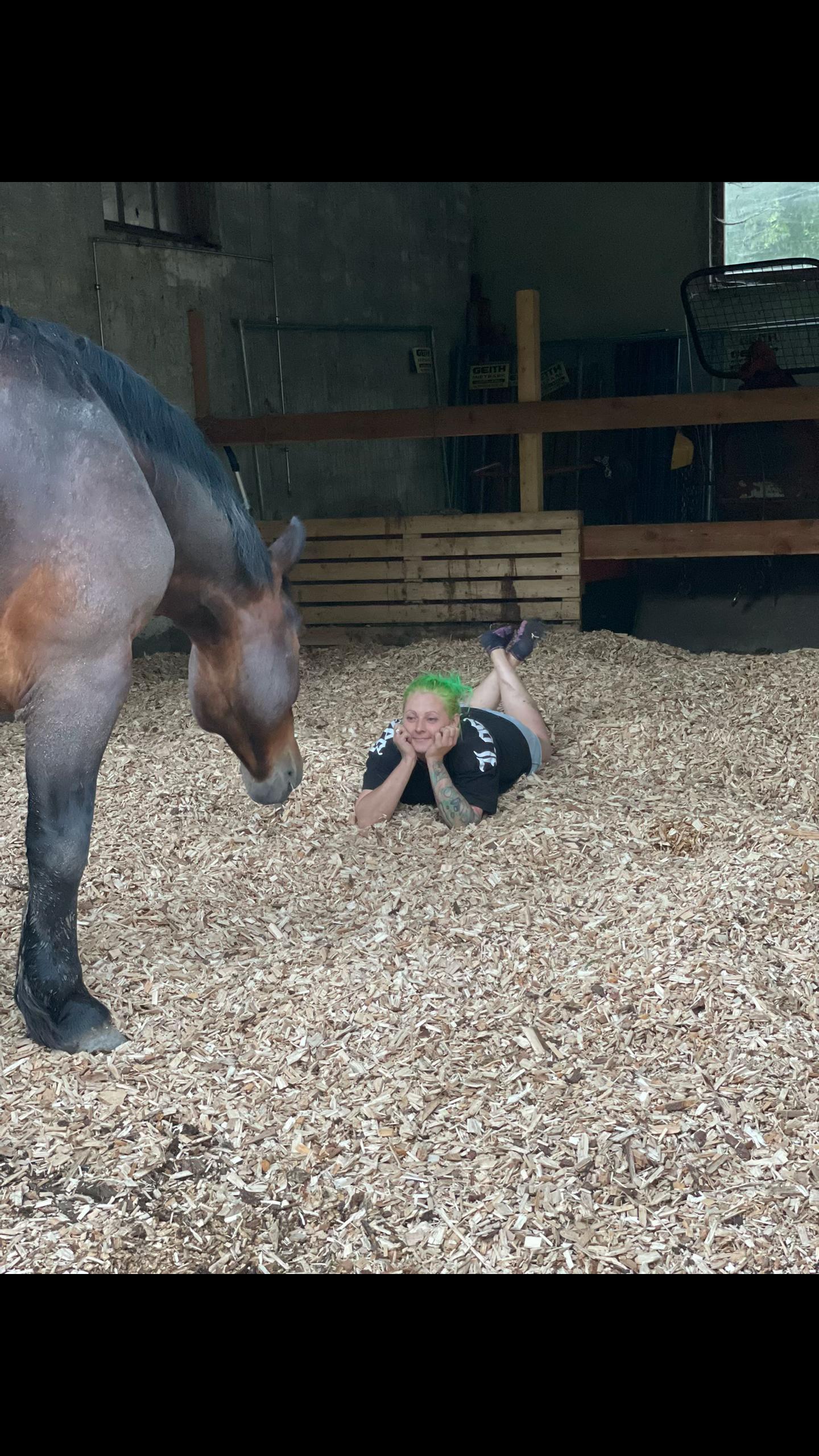 @Mountain Hill Ranch 🇦🇹