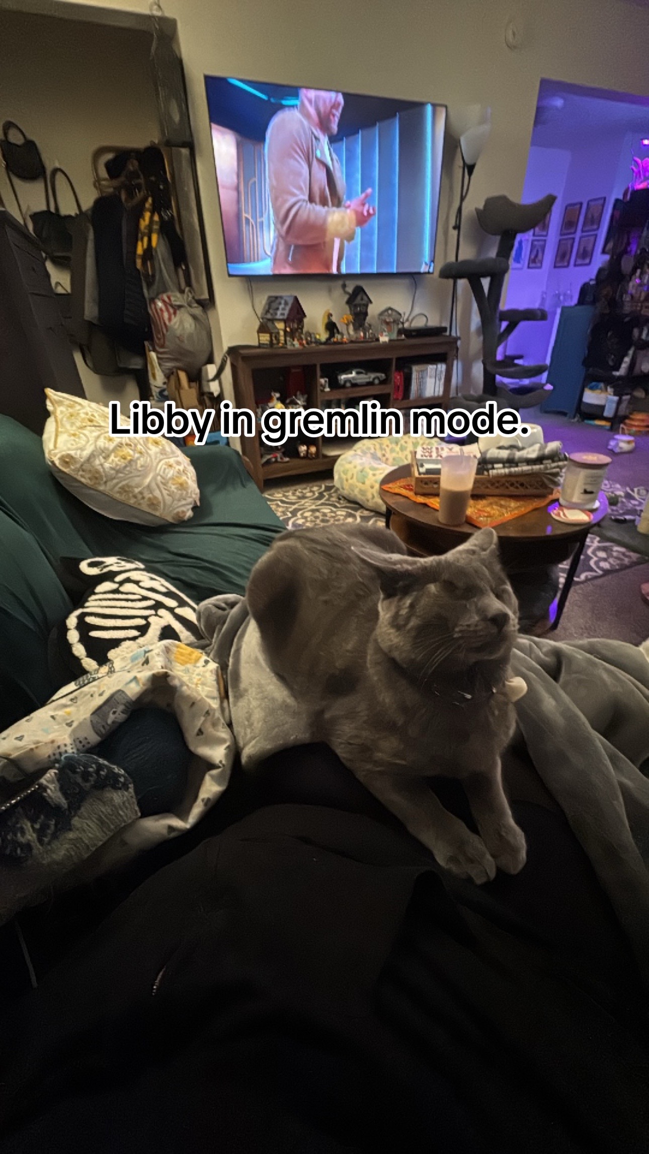 @my2blindcats