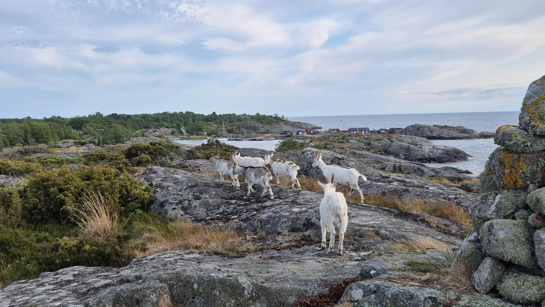 @Landsort Norrhamn