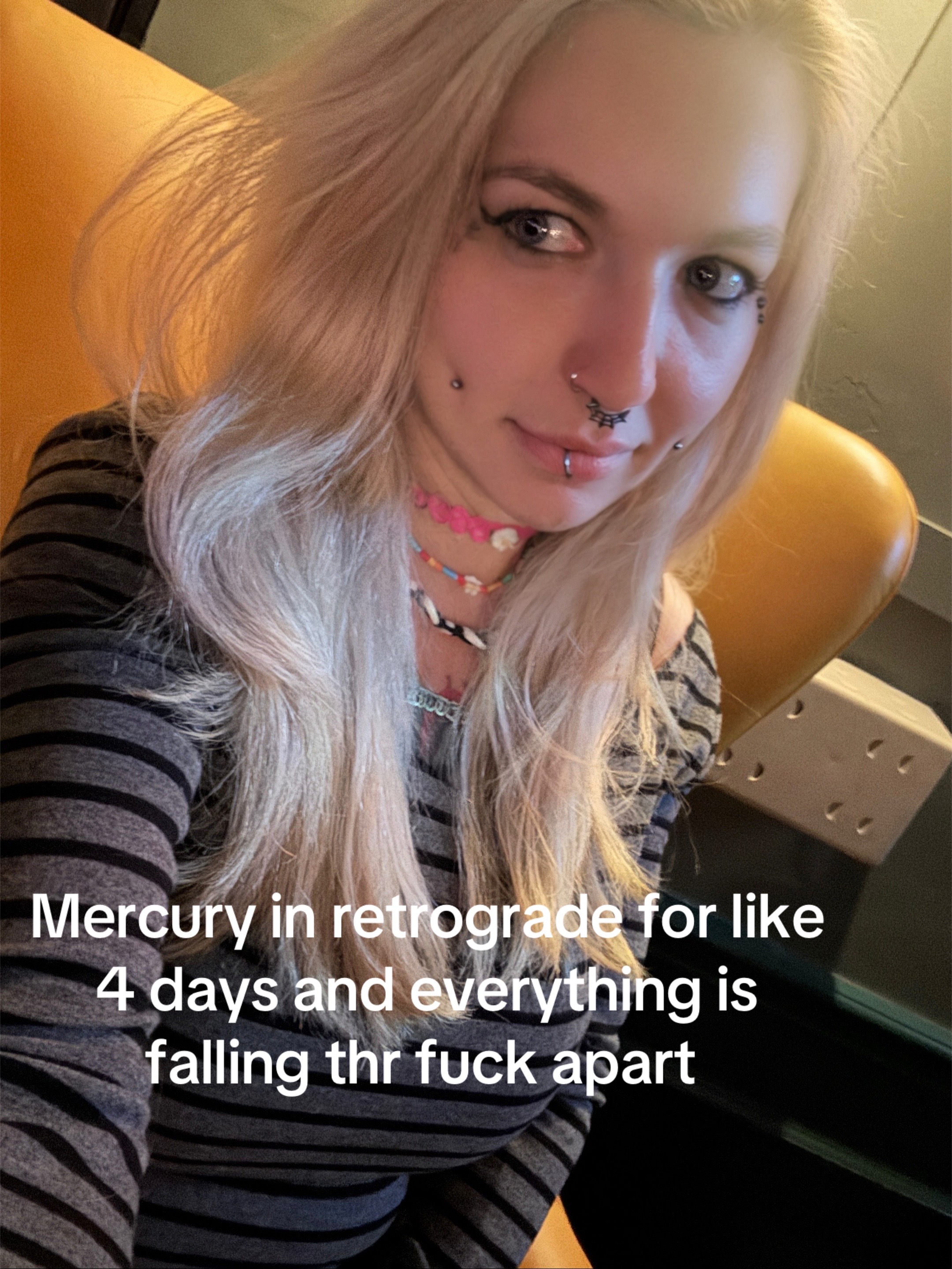 @Kitten