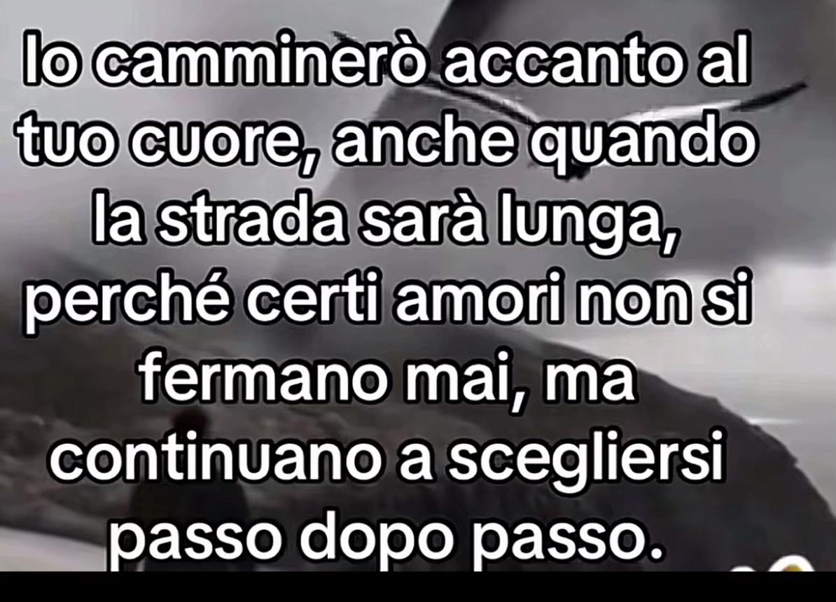 @claudiamorleo653