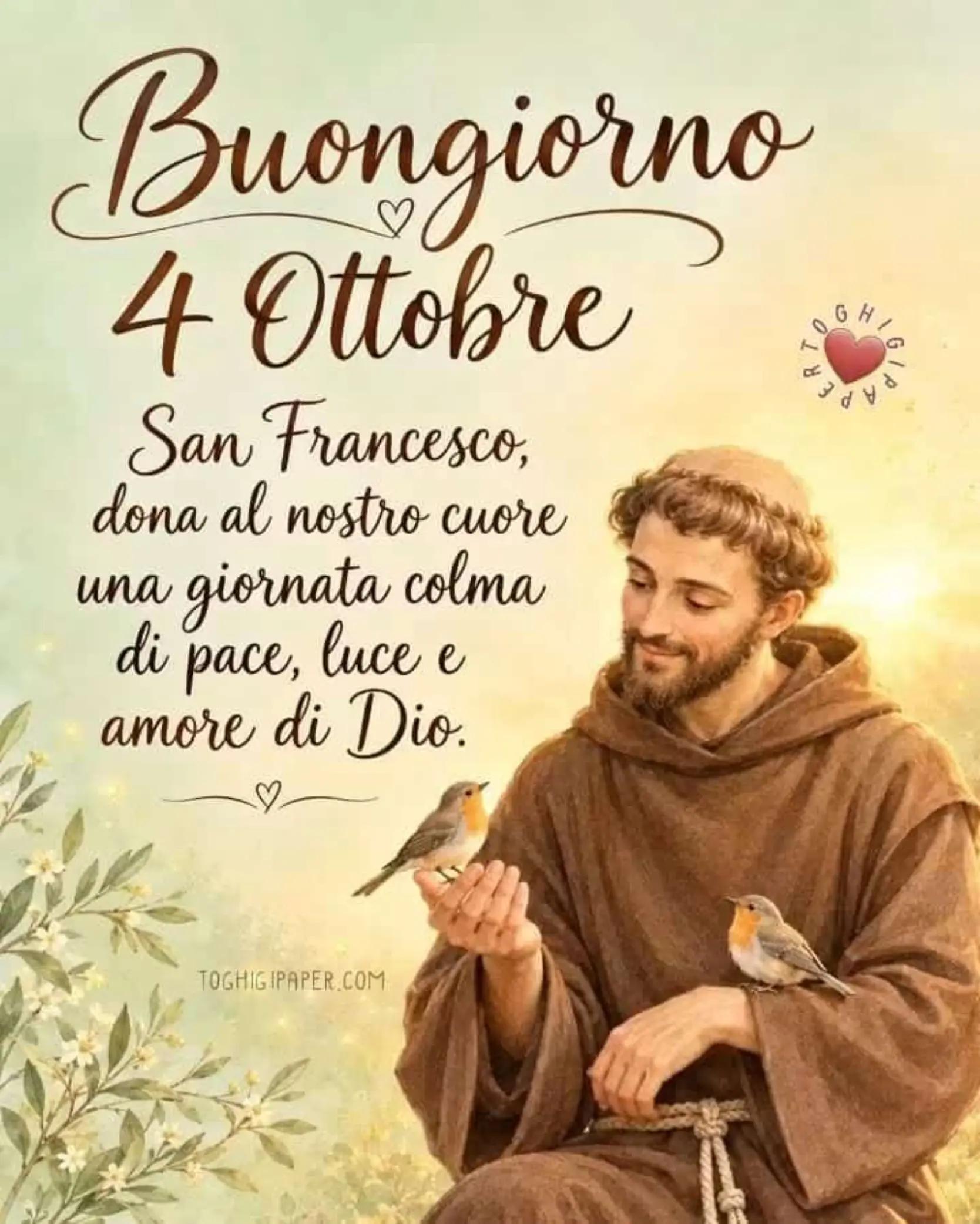 @✨MaCheNeSo<>Io✨