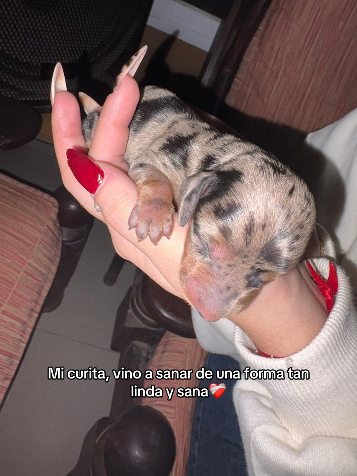 @Luli billordo