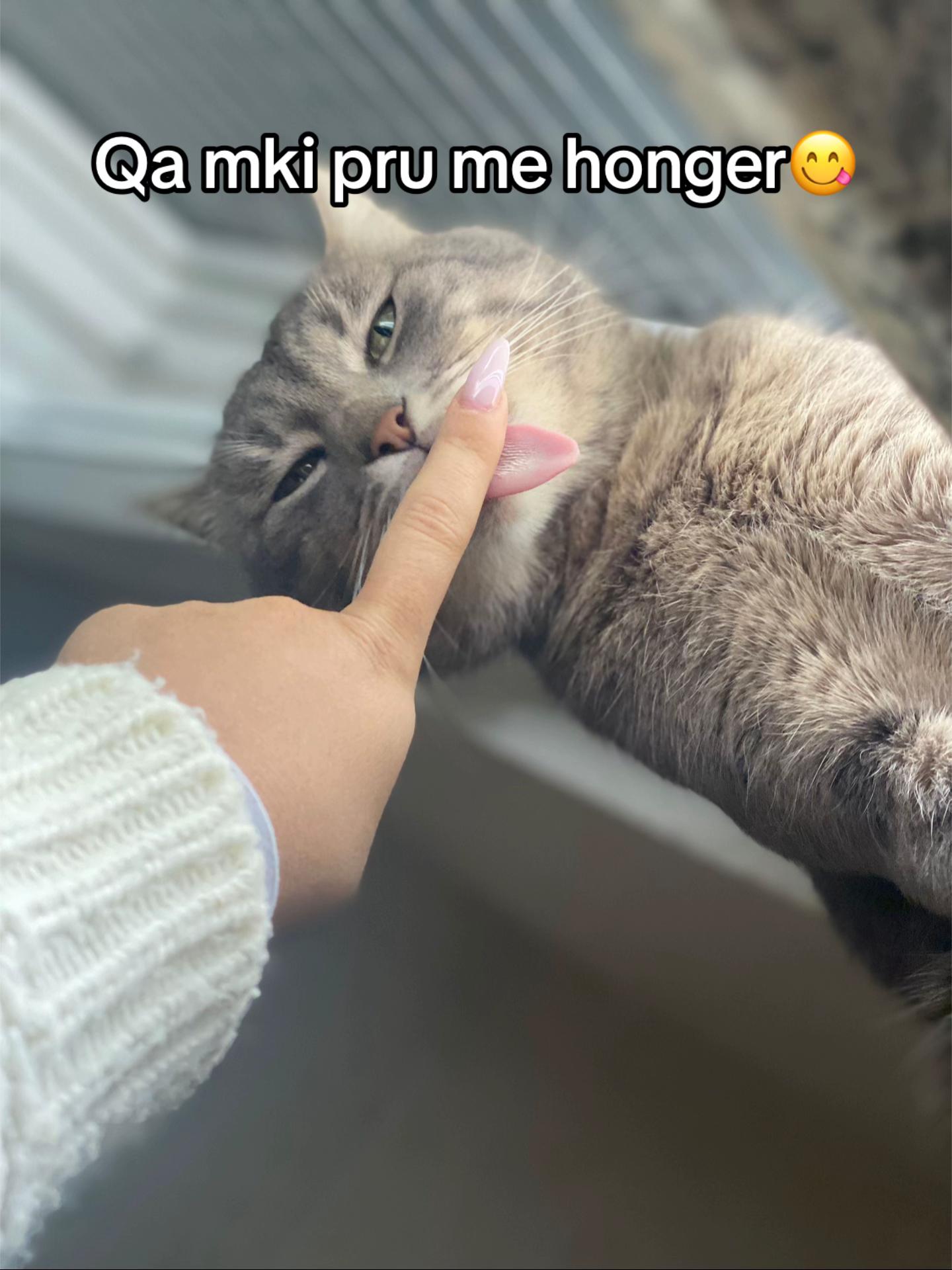 @e